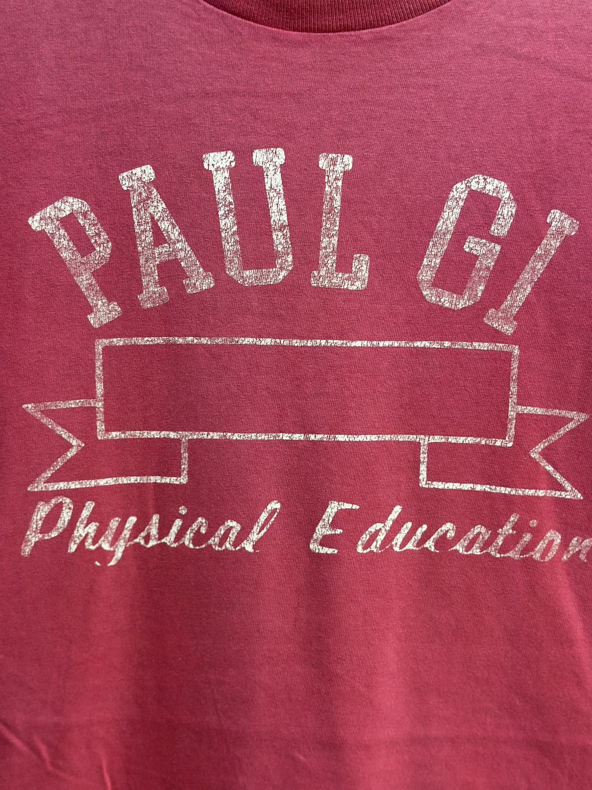 Sears Thrashed Vintage 80s Paul Gi Physical Education Sun Faded Size US L / EU 52-54 / 3 - 2 Thumbnail