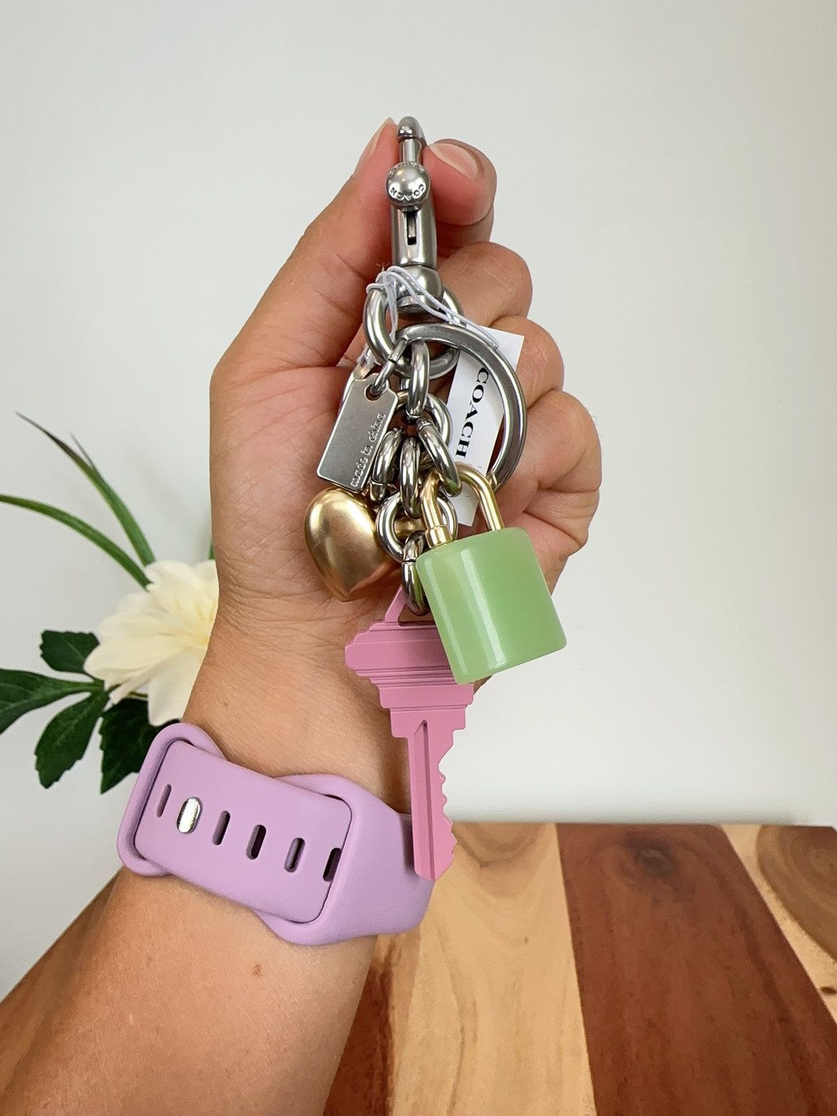 Coach NWT Coach Key Cluster Bag Charm Size ONE SIZE - 4 Thumbnail