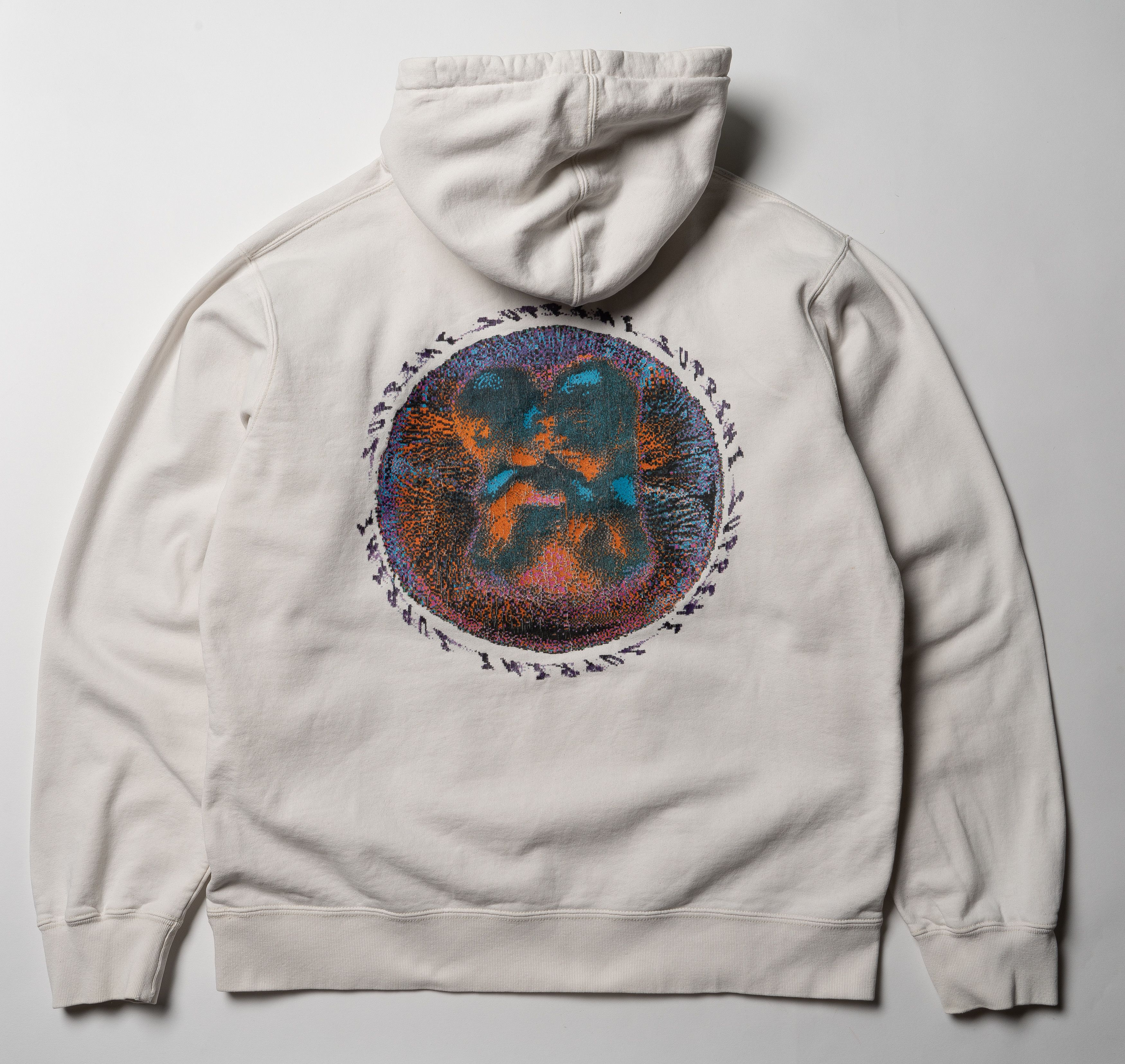 Supreme 🔵 SUPREME Embryo Hoodie ss20 Size US XL / EU 56 / 4 - 15 Thumbnail