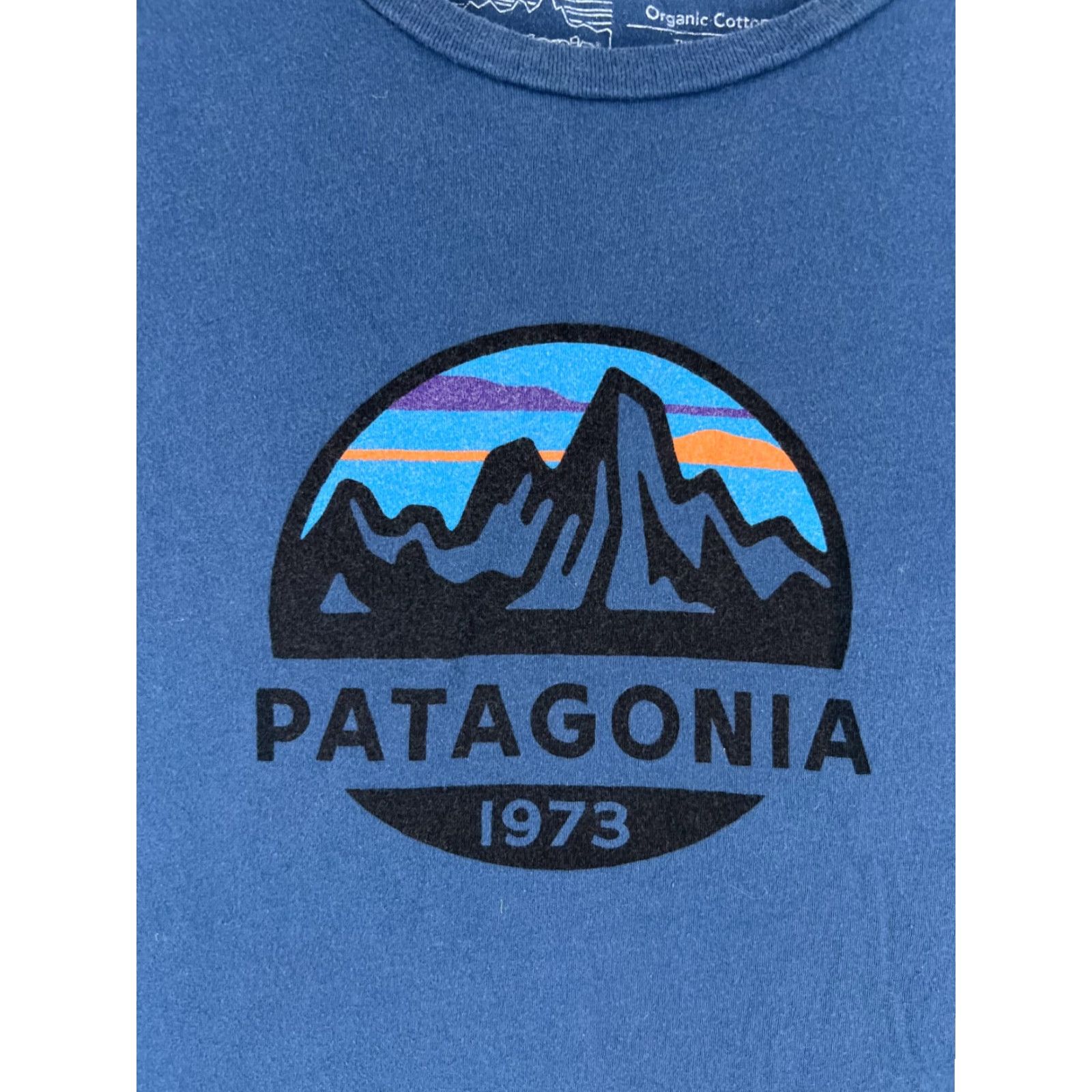 Patagonia Patagonia Shirt Men Medium Blue Short Sleeve Crew Neck Cotton Hike Camp Logo T-Shirt Size US M / EU 48-50 / 2 - 6 Thumbnail