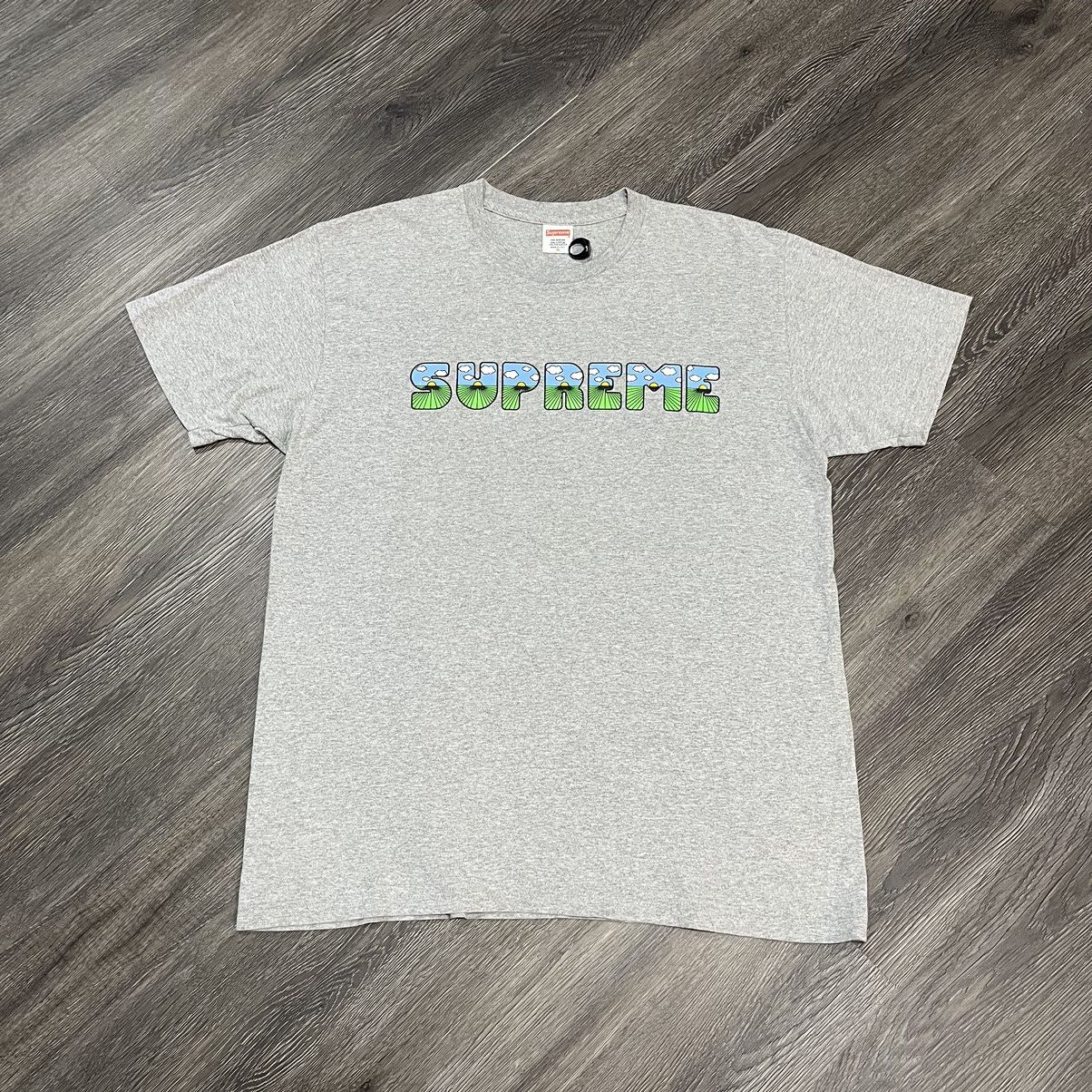 Supreme This is The Shit SS16