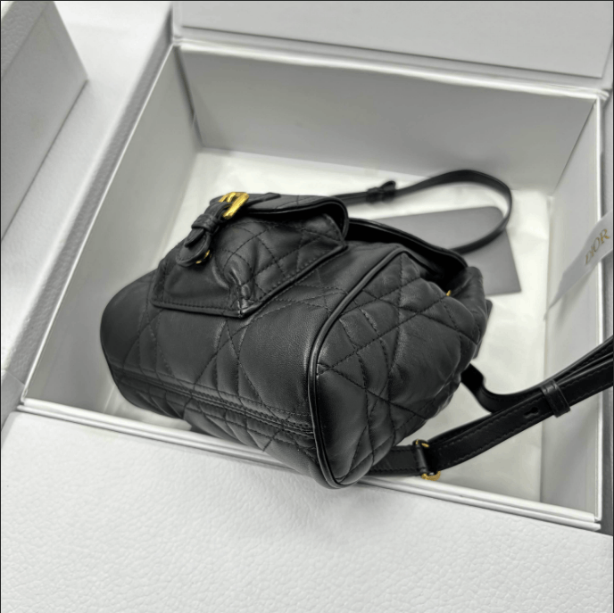 Dior Dior leather backpack S Size ONE SIZE - 6 Thumbnail