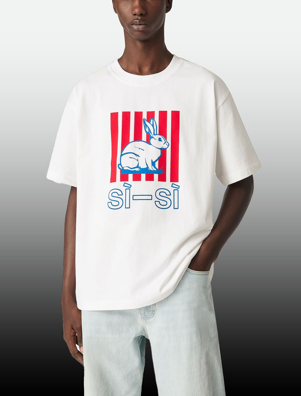Other Cotton Printed Jersey T-Shirt – Soft Graphic Tee Size US M / EU 48-50 / 2 - 1 Thumbnail