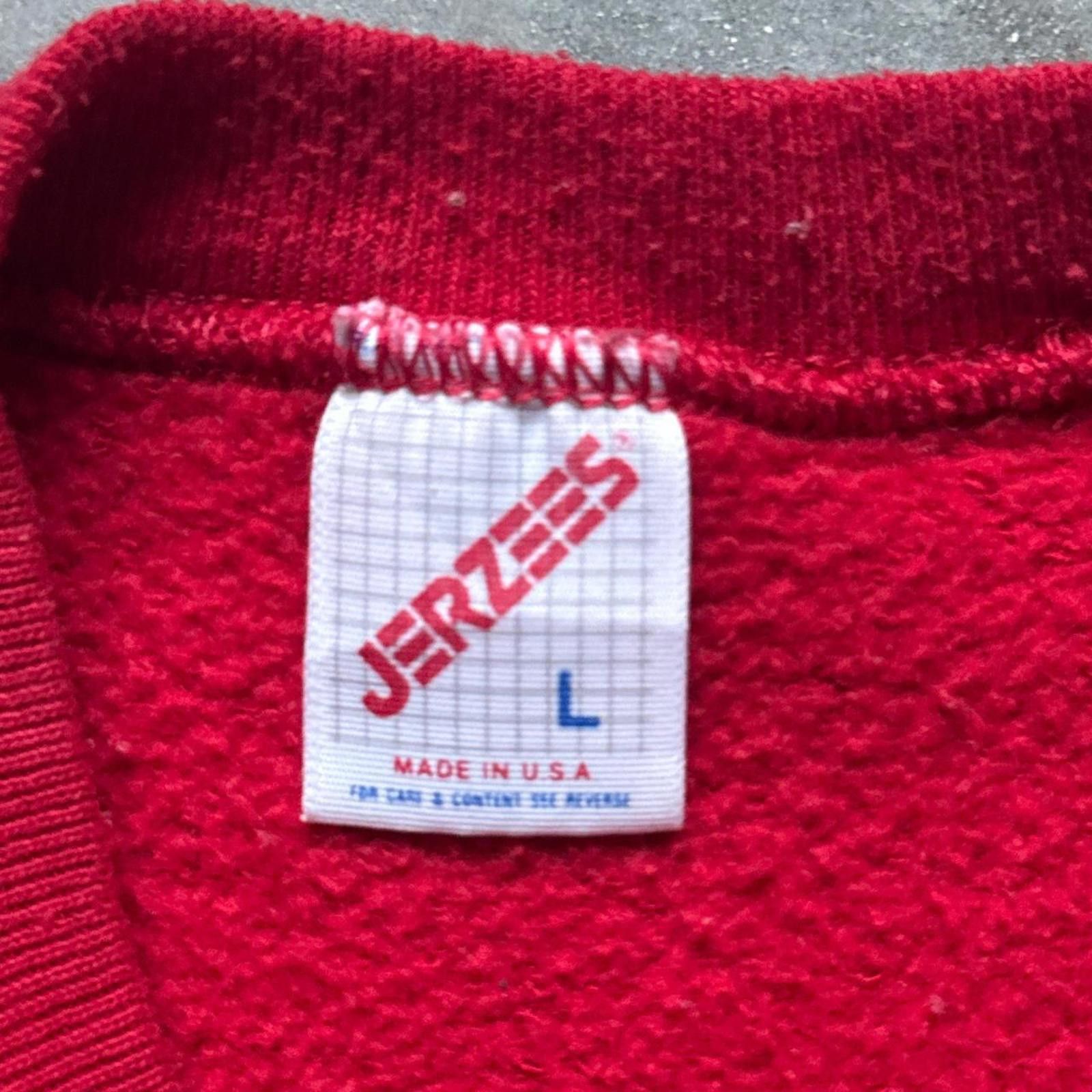 Jerzees Jerzees Vintage 90’s Red Blank Crewneck Size US L / EU 52-54 / 3 - 4 Thumbnail