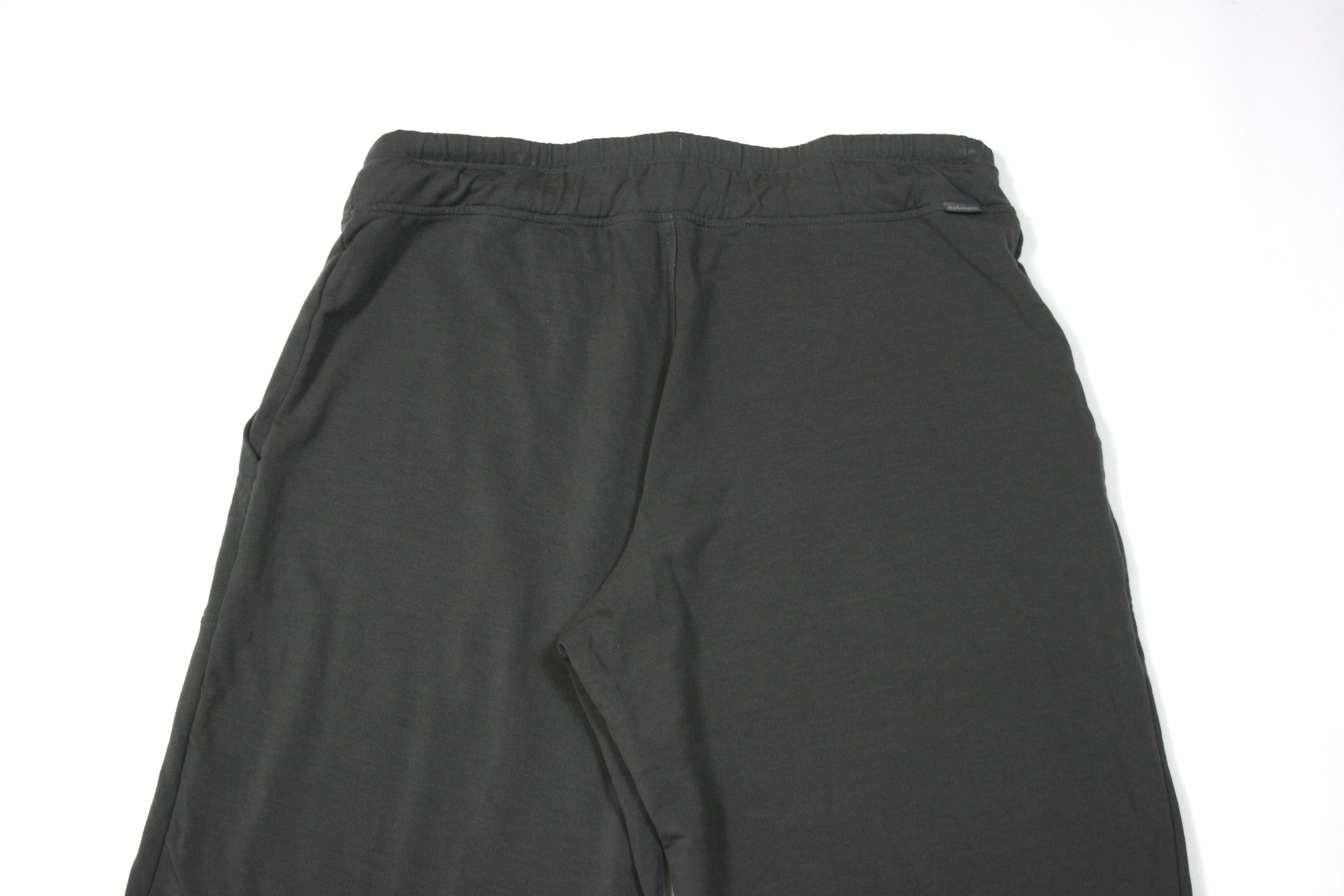 Icebreaker Cool-Lite Utility Explore Sweatpants L Size Size 28" / US 6 / IT 42 - 4 Thumbnail