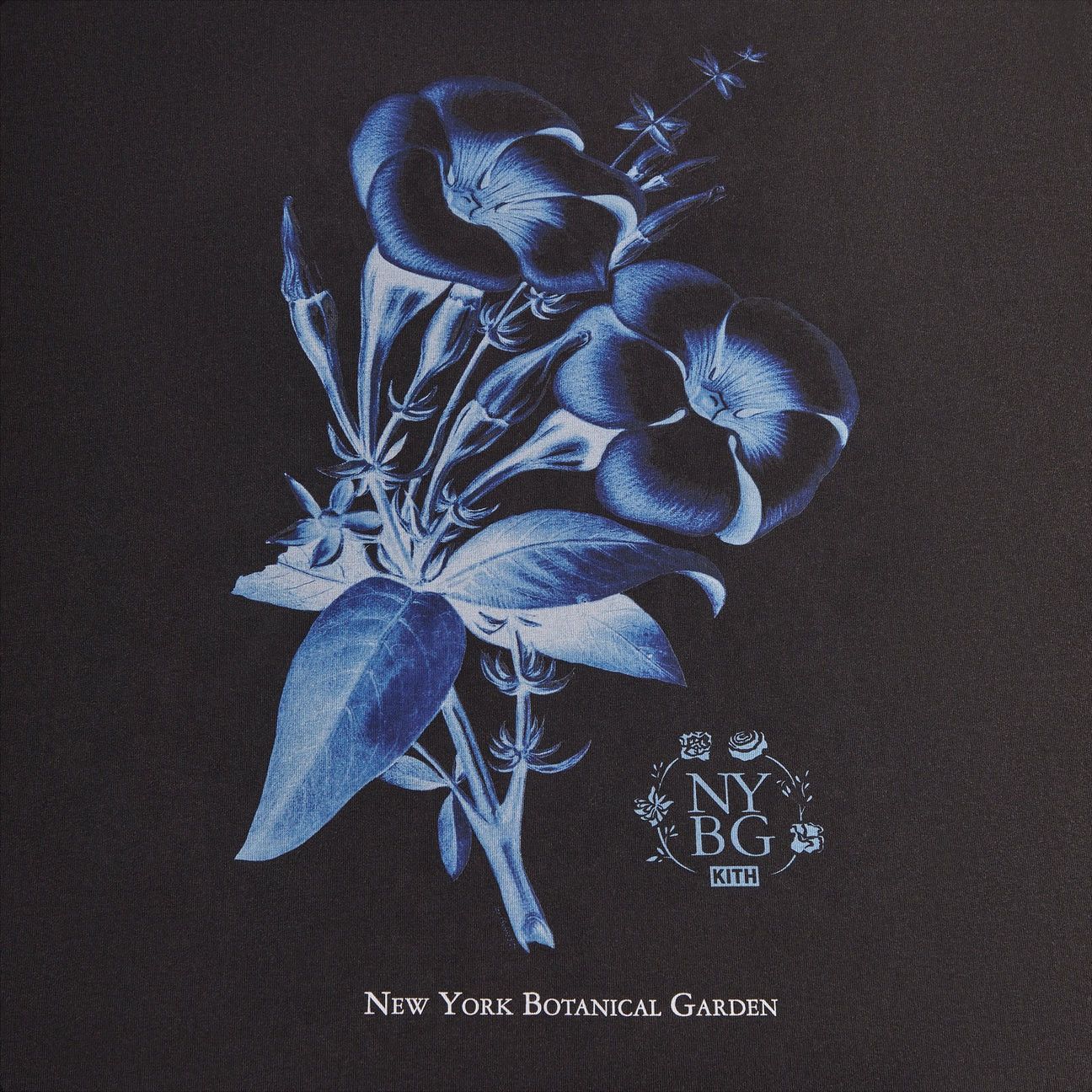 Kith Kith for New York Botanical Garden Allamenda Vintage Tee XXL Size US XXL / EU 58 / 5 - 3 Thumbnail