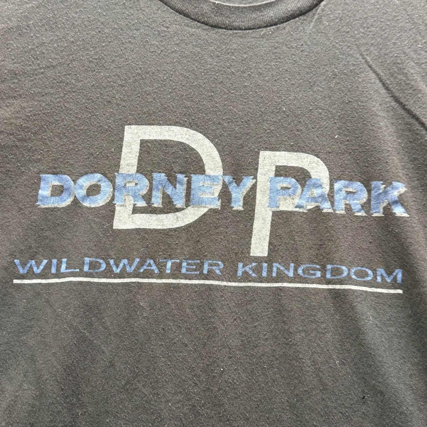 Vintage VINTAGE Dorney Park Shirt Mens L Black Graphic Tee Cotton Size US L / EU 52-54 / 3 - 3 Thumbnail