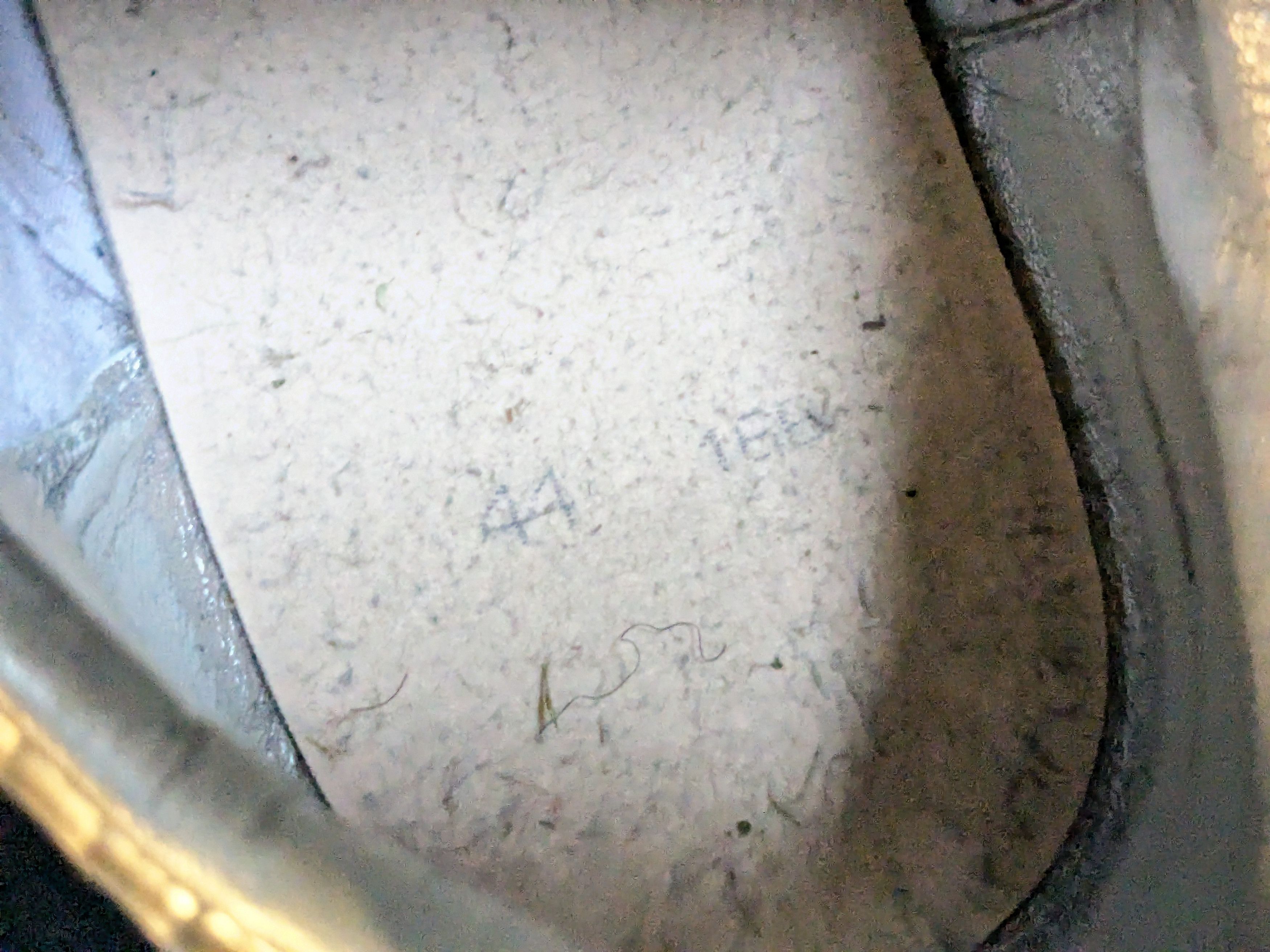 Maison Margiela Maison Margiela Replica GAT Silver 11 44 Low Tops Leather Size US 11 / EU 44 - 10 Thumbnail