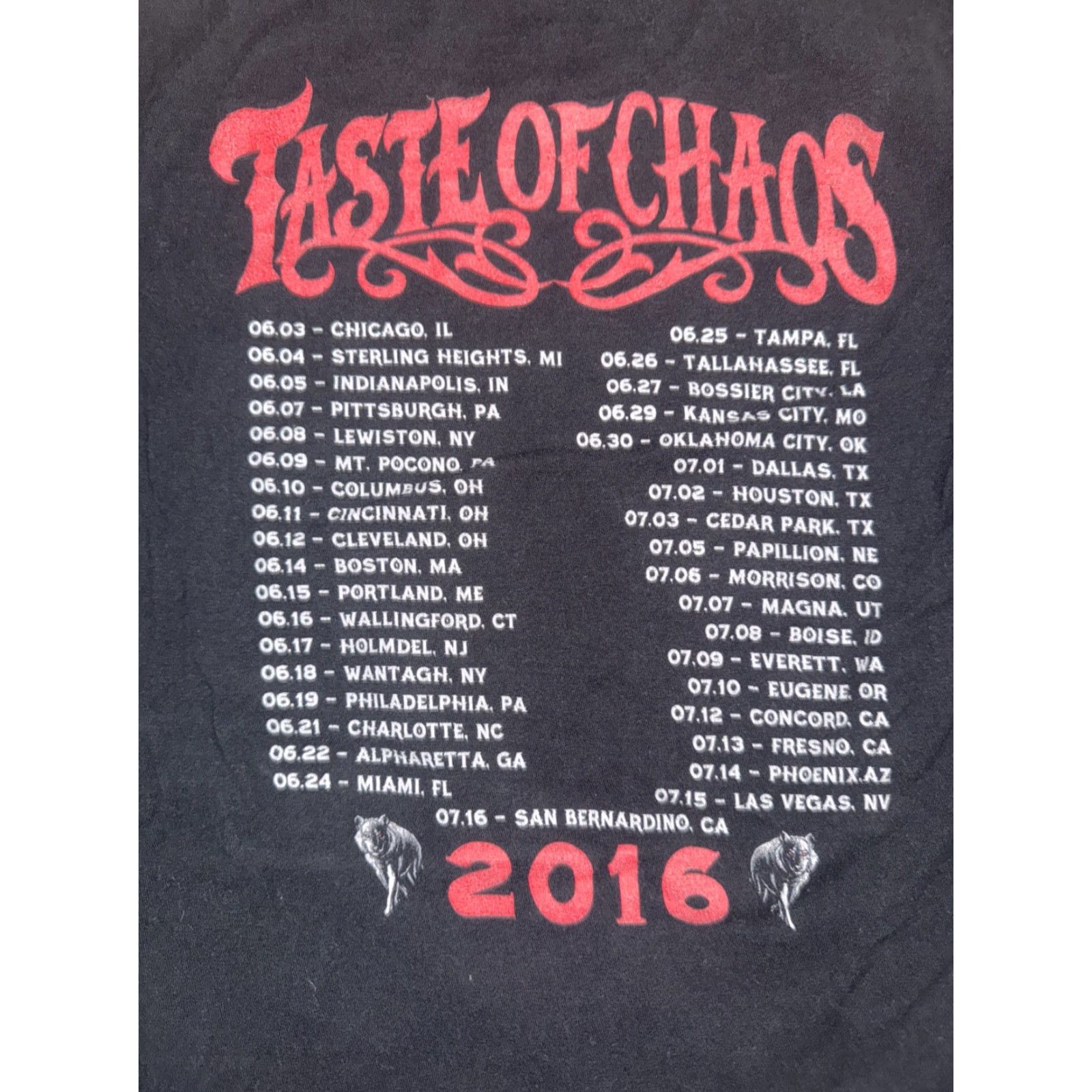 Taste of Chaos Tour 2016 Band T-Shirt Black Mens Large 20x27 Rock Concert Tee Shirt Graphic Print Band Music Rock 2000s Mens