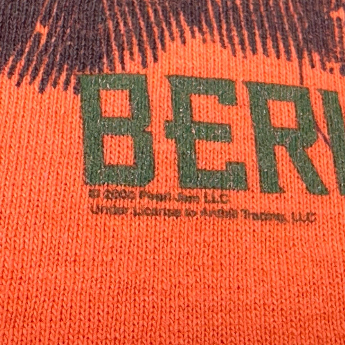 Anvil Vintage Anvil 2000 Pearl Jam Berlin Tour Crew Neck Band Tee Size US L / EU 52-54 / 3 - 3 Thumbnail