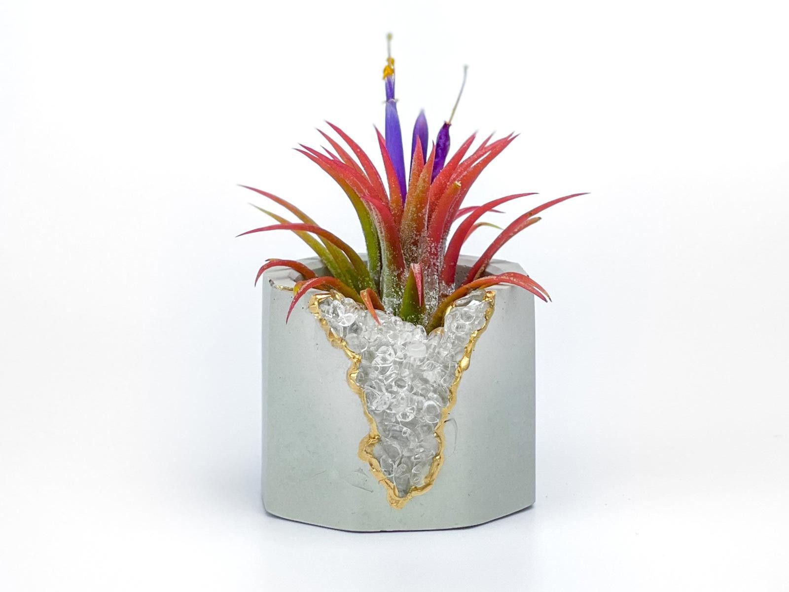 Other Clear Quartz Crystal Planter Small Succulent Pot tillandsia Size ONE SIZE - 2 Thumbnail