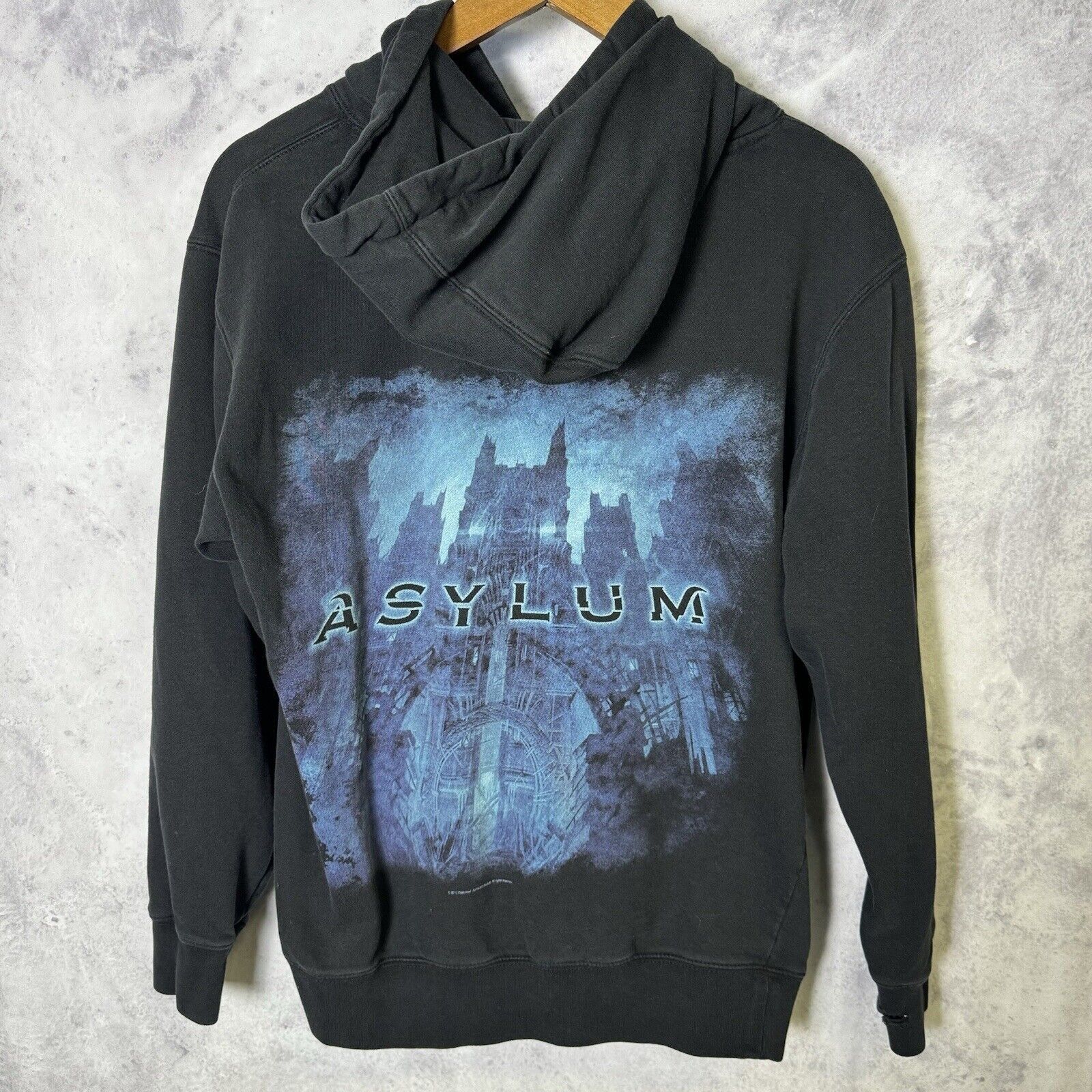 Band Tees Disturbed Asylum Band Hoodie Adult Small Black Big Print Roc Size US S / EU 44-46 / 1 - 2 Thumbnail