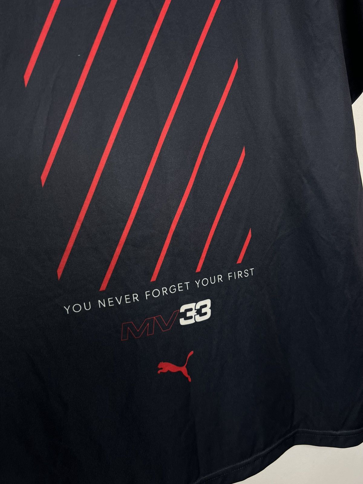 Red Bull Red Bull Racing Champion World Big Logo Racing Tee F1 Team Size US L / EU 52-54 / 3 - 9 Thumbnail
