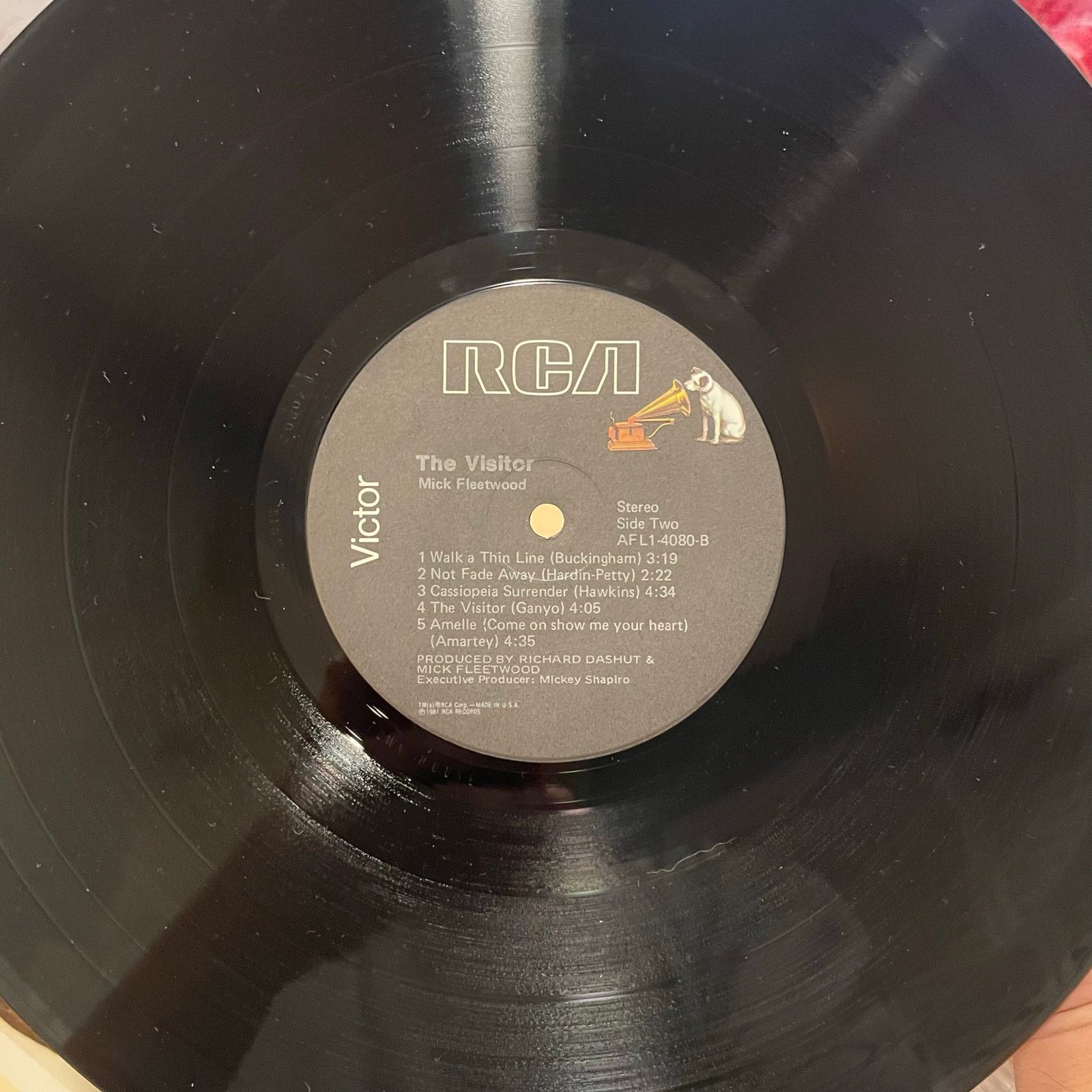 INTENTIONALLY BLANK Mick Fleetwood - The Visitor LP vintage vinyl record mac Size ONE SIZE - 4 Thumbnail