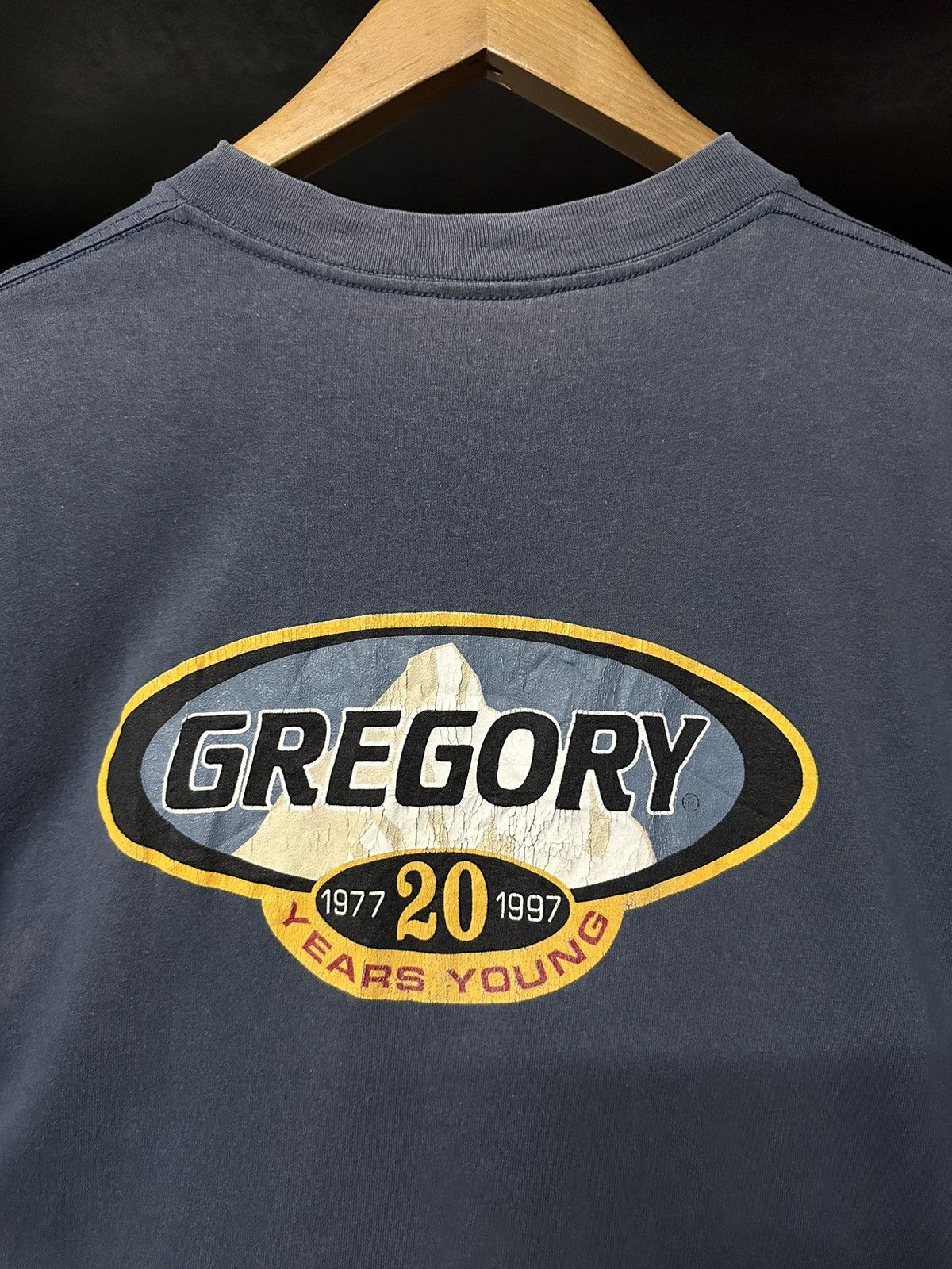 Gregory × Vintage Vintage 90s Gregory Years Young Sun Faded Tee Size US L / EU 52-54 / 3 - 2 Thumbnail