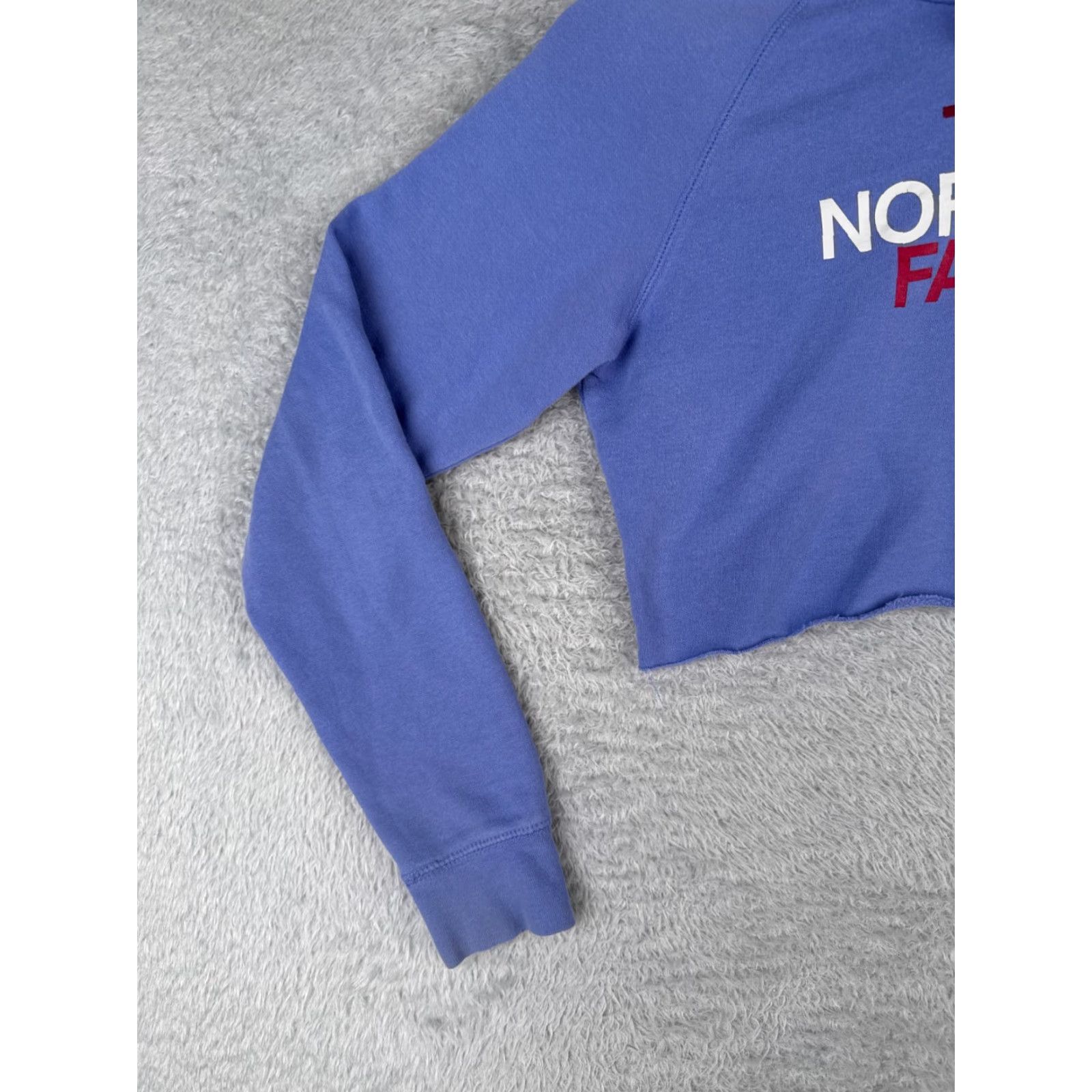 The North Face The North Face Hoodie Womens S Purple Logo Cotton Blend Long Sleeve Pullover Crew Neck Hooded Shirt? Size S / US 4 / IT 40 - 3 Thumbnail