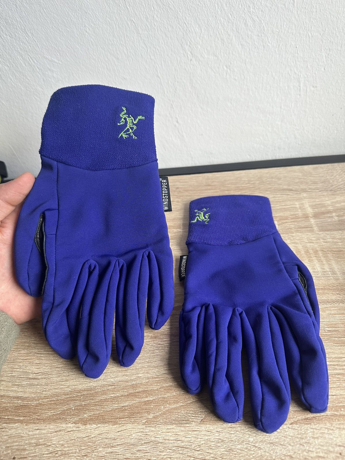 Arzteryx Gloves
