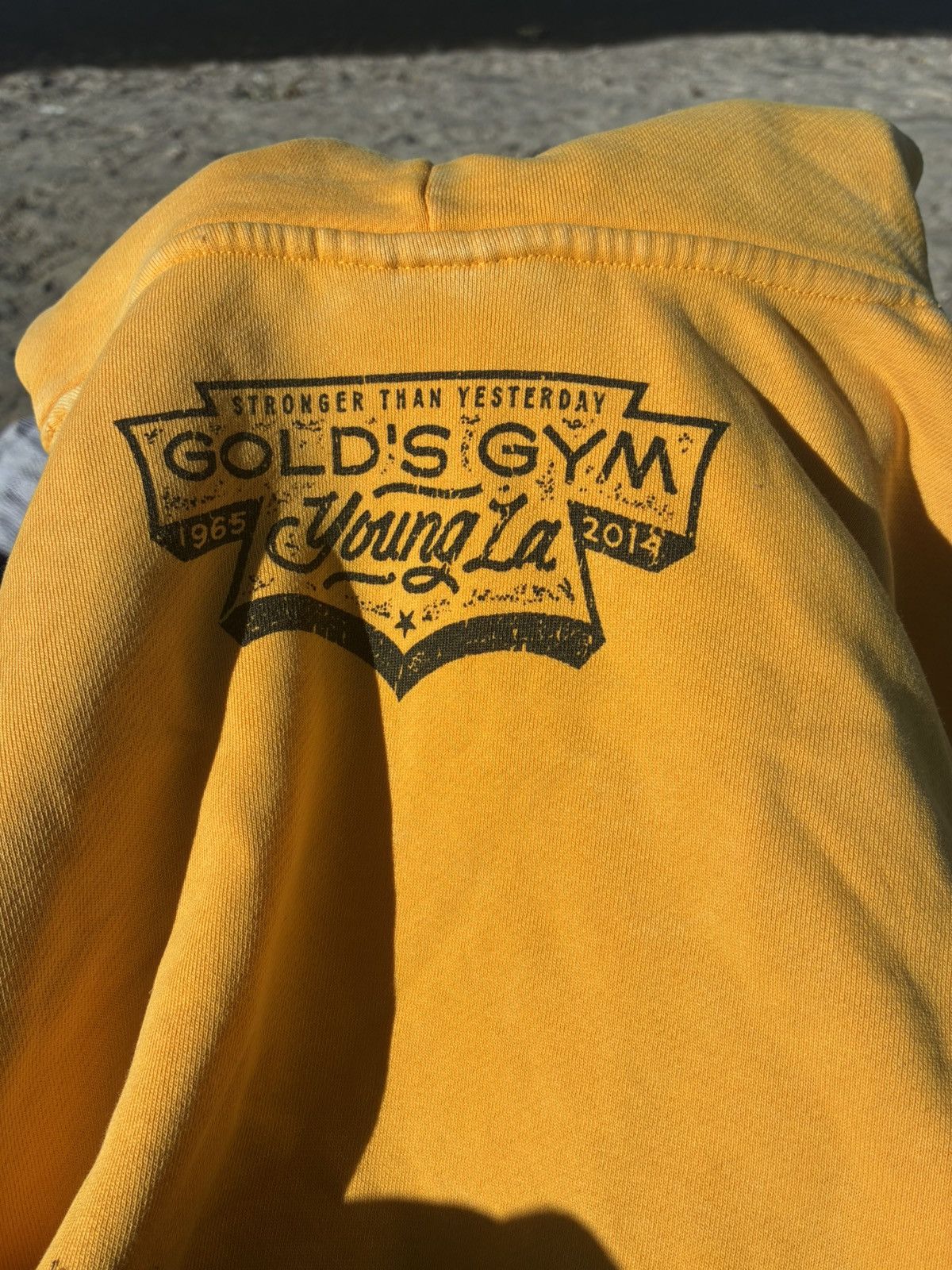 YoungLA Golds Gym YoungLA hooddie Size US L / EU 52-54 / 3 - 2 Thumbnail