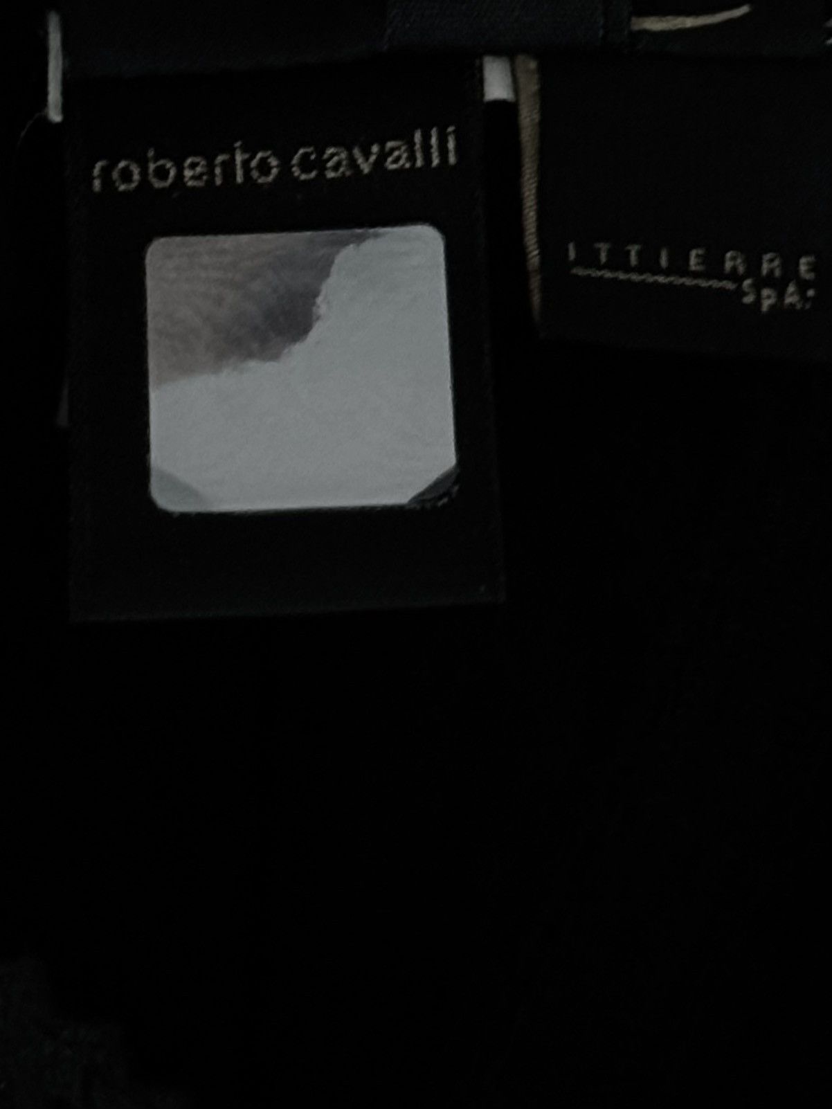 Roberto Cavalli Runway Roberto Cavalli fitted black dress Size S / US 4 / IT 40 - 3 Thumbnail
