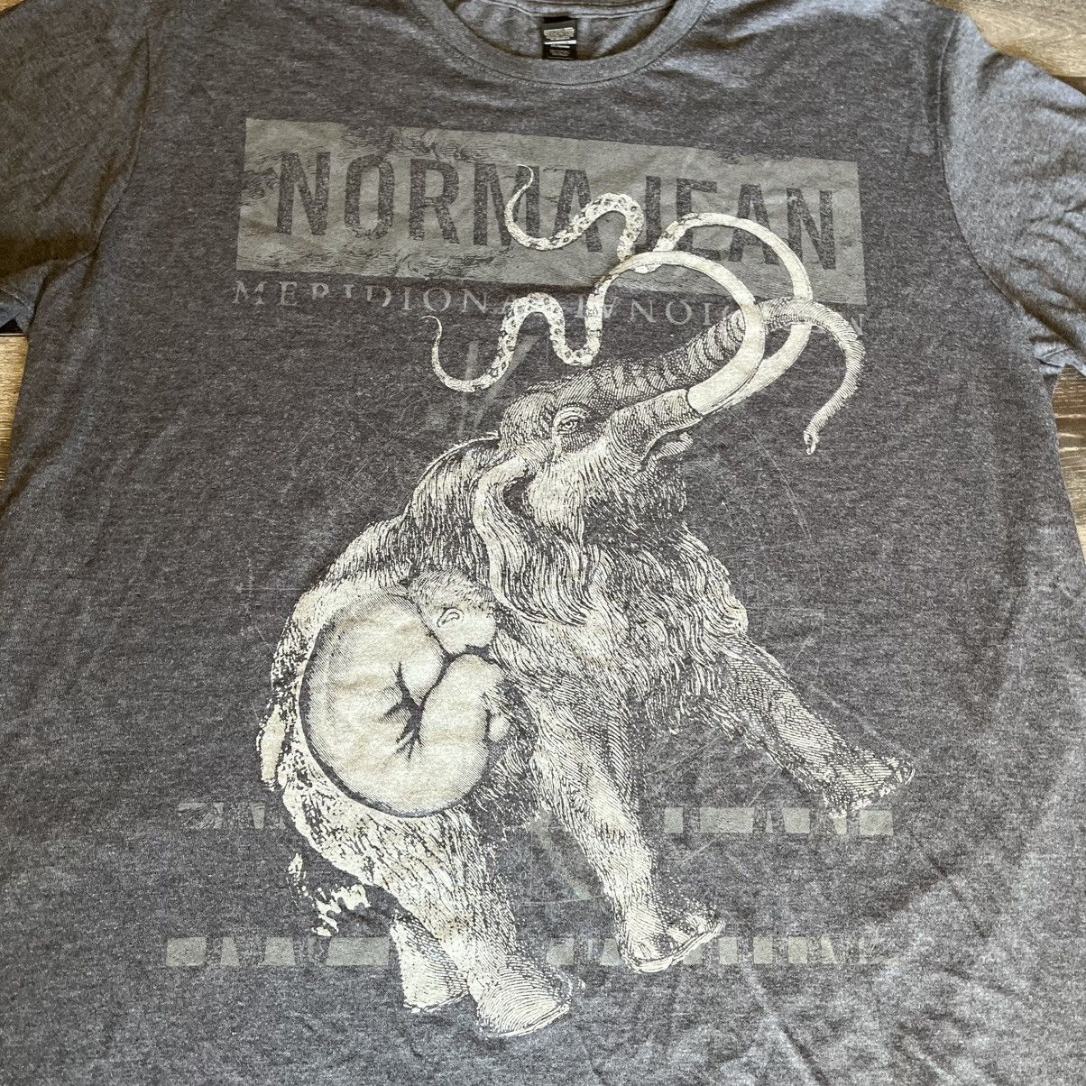 Band Tees Vintage 2010 Norma Jean Meridional Meralcore Band Tour Tee Size US XL / EU 56 / 4 - 4 Thumbnail