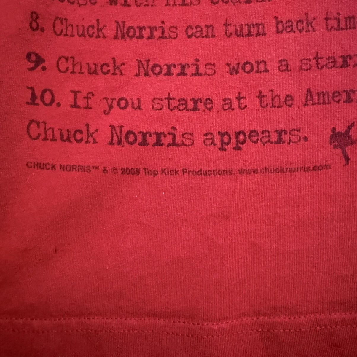 Vintage Vintage Y2K 10 Things About Chuck Norris T-Shirt Size US L / EU 52-54 / 3 - 5 Thumbnail