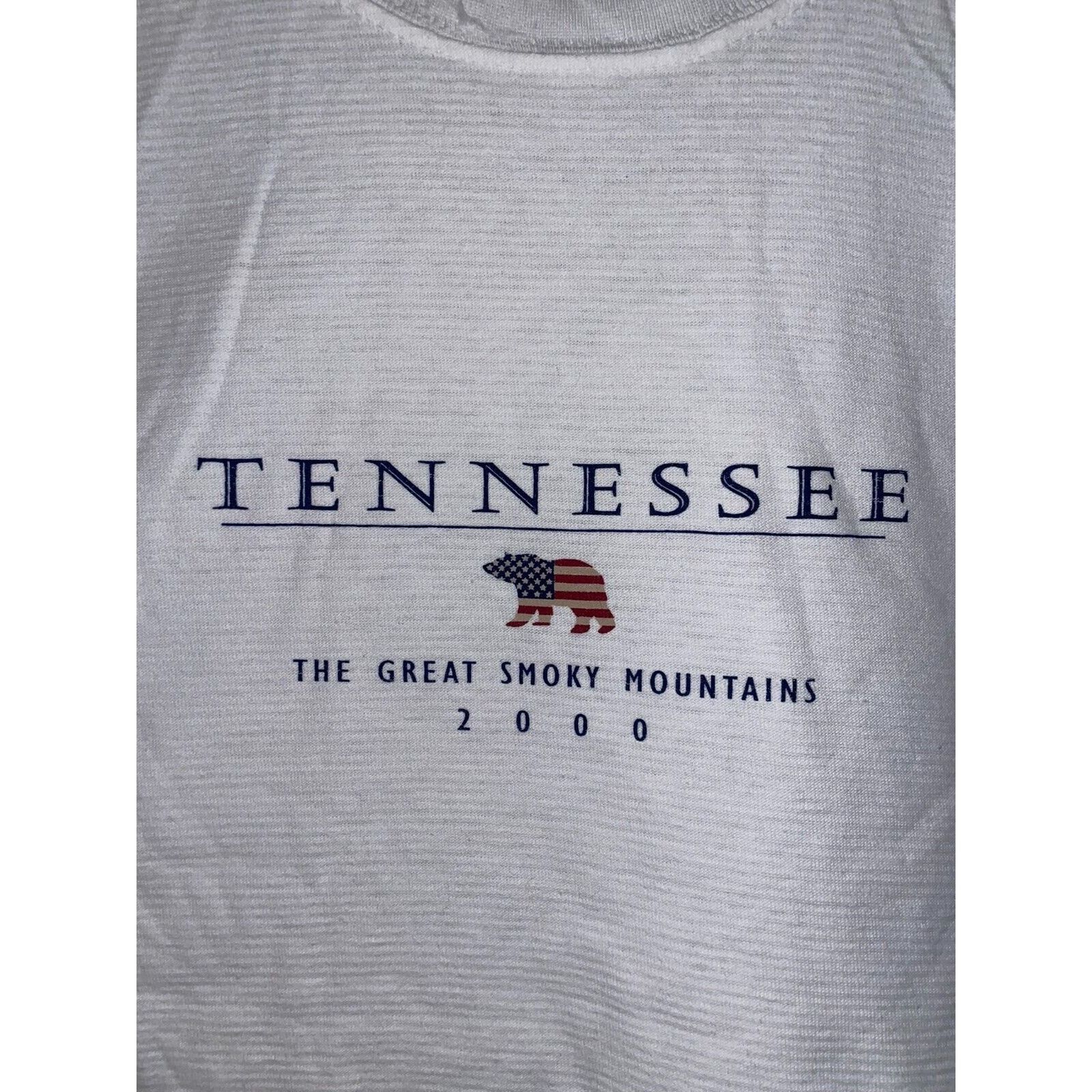 Jerzees Y2K Tennessee Shirt Great Smoky Mountains Striped White Tee Size US L / EU 52-54 / 3 - 3 Thumbnail