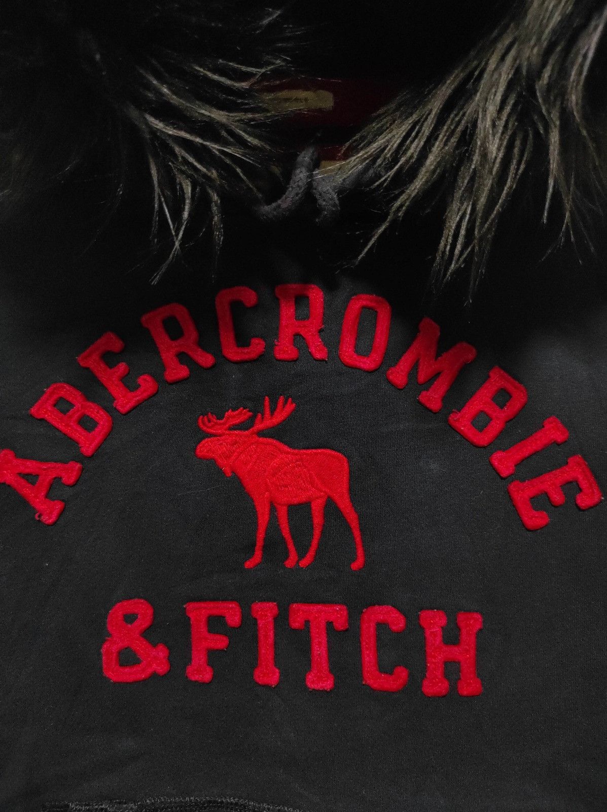 Abercrombie & Fitch Abercrombie & Fitch fur hoodie LGB style Size US M / EU 48-50 / 2 - 4 Thumbnail