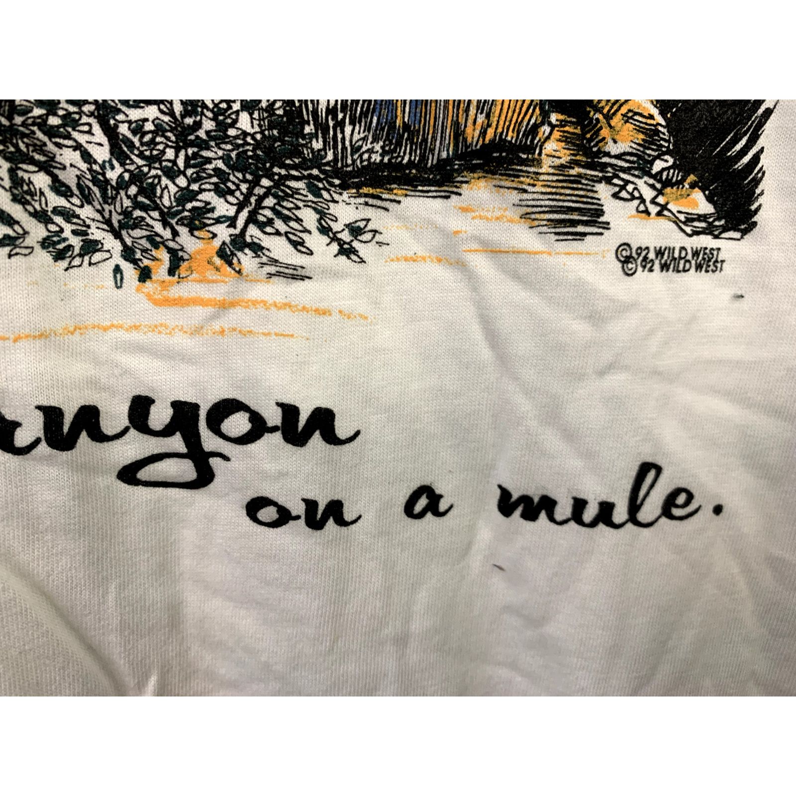 Jerzees Vintage Test Print Shirt Grand Canyon Arizona White M Tee Size US M / EU 48-50 / 2 - 3 Thumbnail