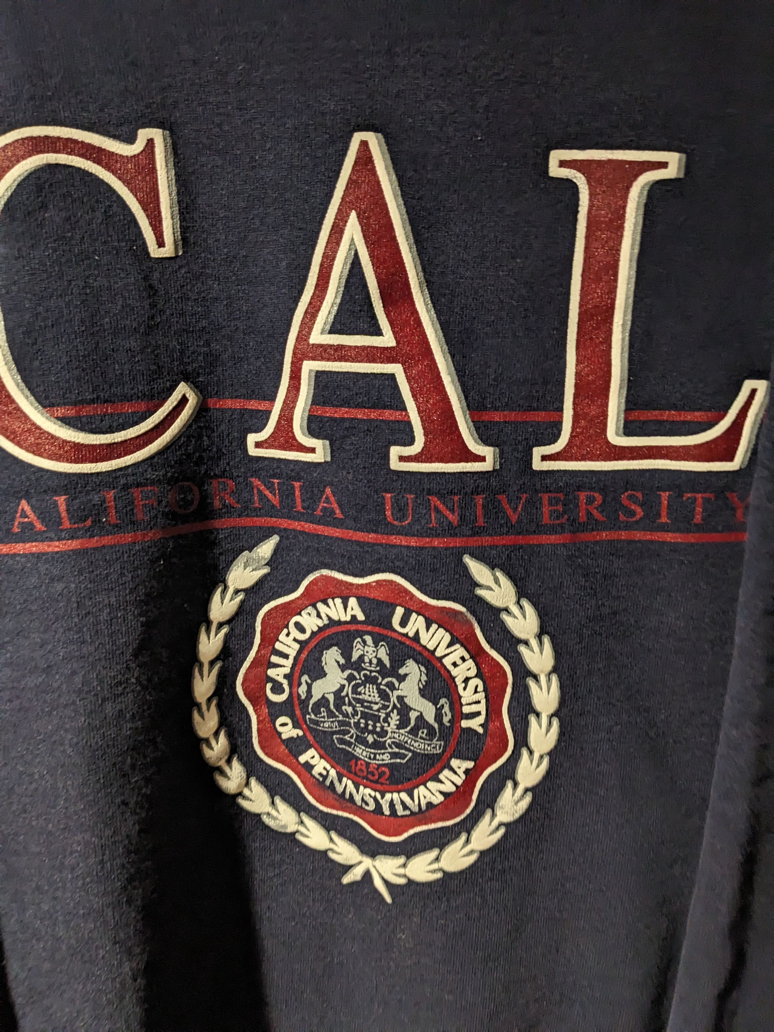 Jansport × Vintage Vintage 90s University of California Pennsylvania Sweatshirt Size US XL / EU 56 / 4 - 2 Thumbnail
