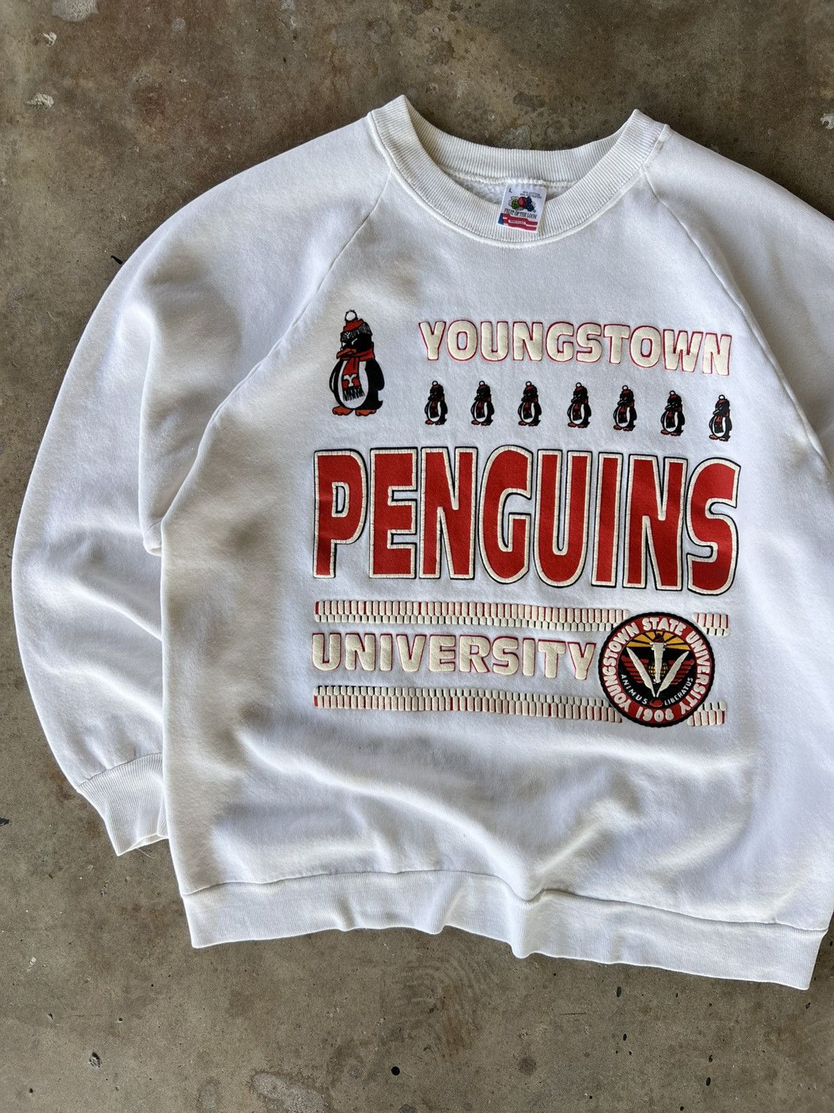 Salem Sportswear Vintage 90’s NCAA Youngstown State Sweatshirt Crewneck Size US L / EU 52-54 / 3 - 1 Thumbnail