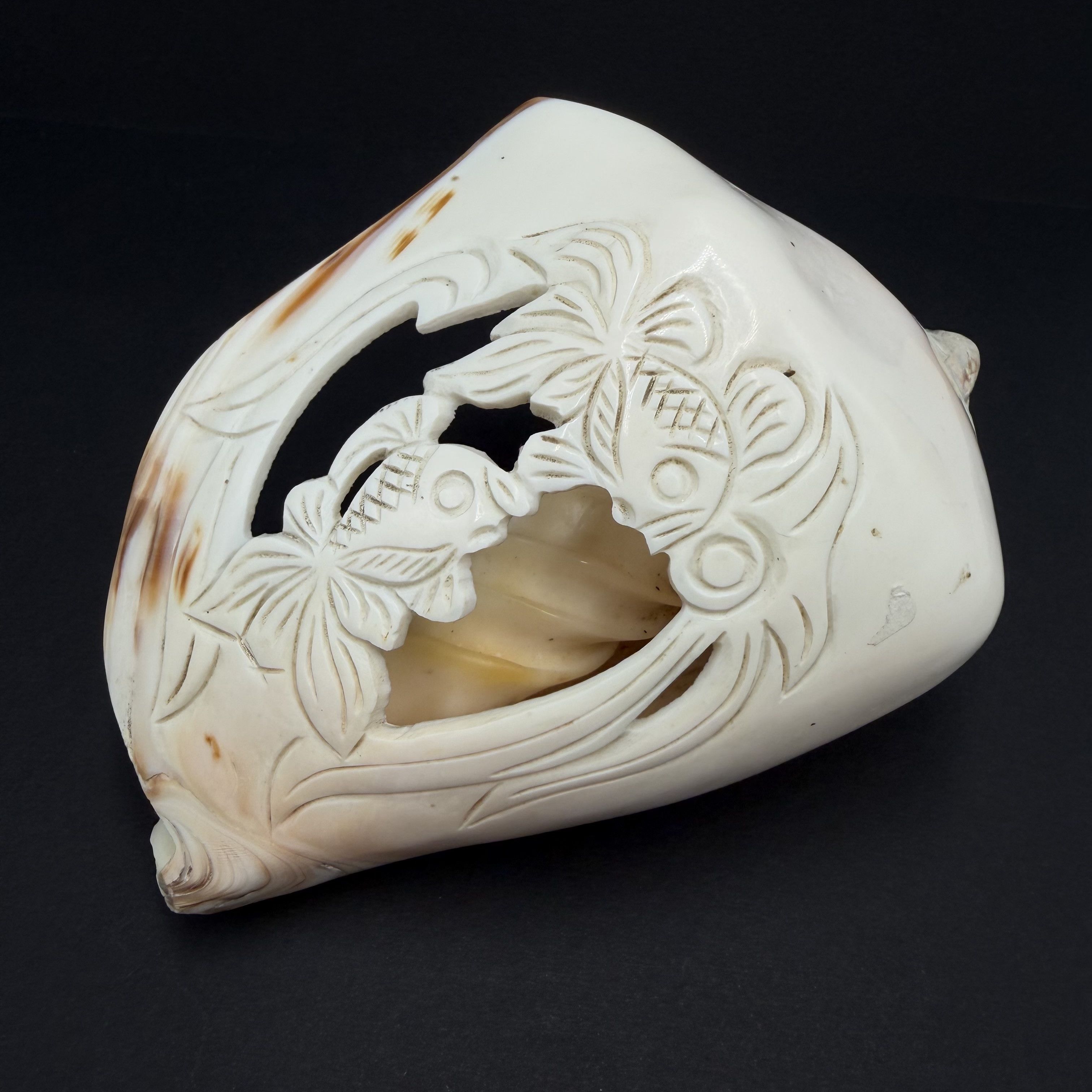 Vintage Vintage Hand Carved Conch Shell Fish Decor Natural Sea Shell Size ONE SIZE - 1 Thumbnail