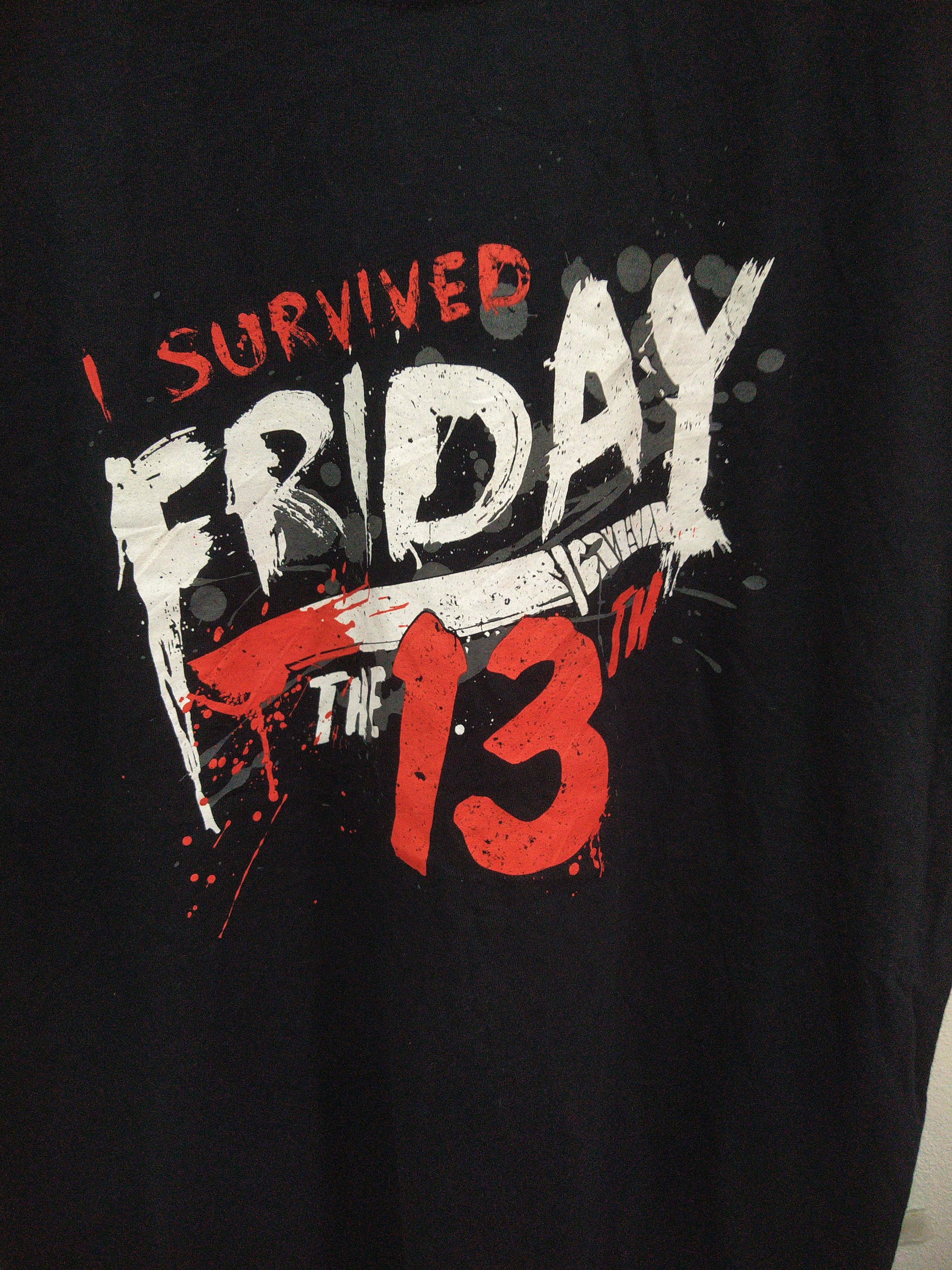 Expert Horror I Survived Friday The 13th Horror Graphic T-Shirt Black Size US L / EU 52-54 / 3 - 2 Thumbnail