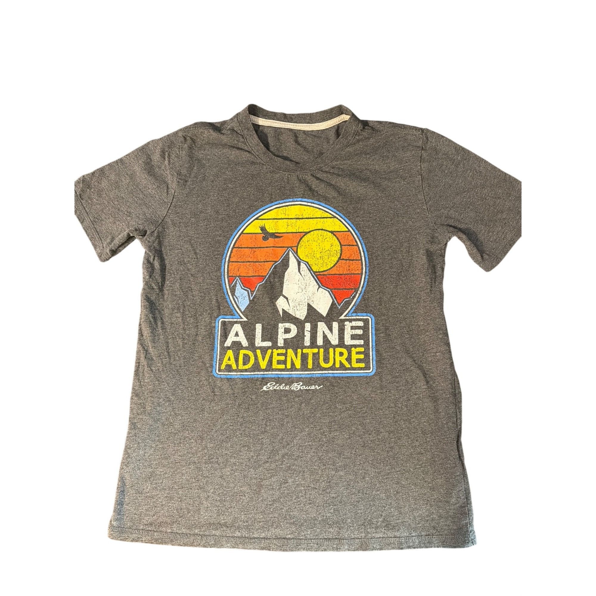 Eddie Bauer Eddie Bauer Alpine Adventure Graphic T Shirt Heather Grey Gr Size US M / EU 48-50 / 2 - 1 Thumbnail