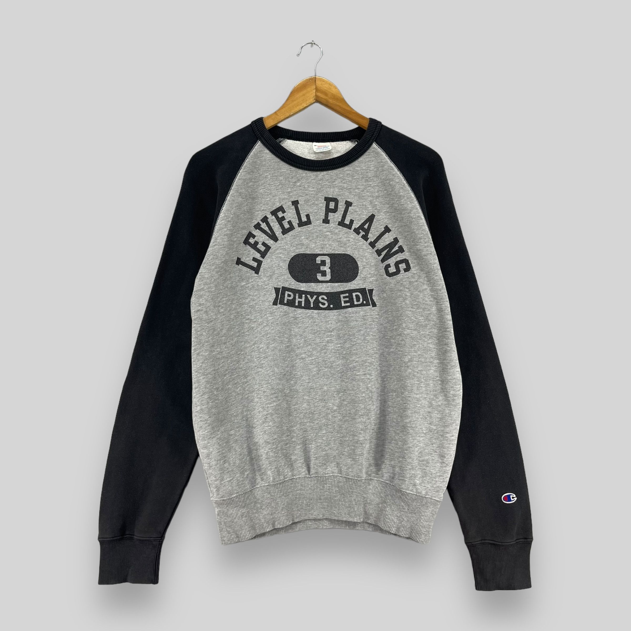 Vintage CHAMPION Raglan Sun Faded Sweatshirt