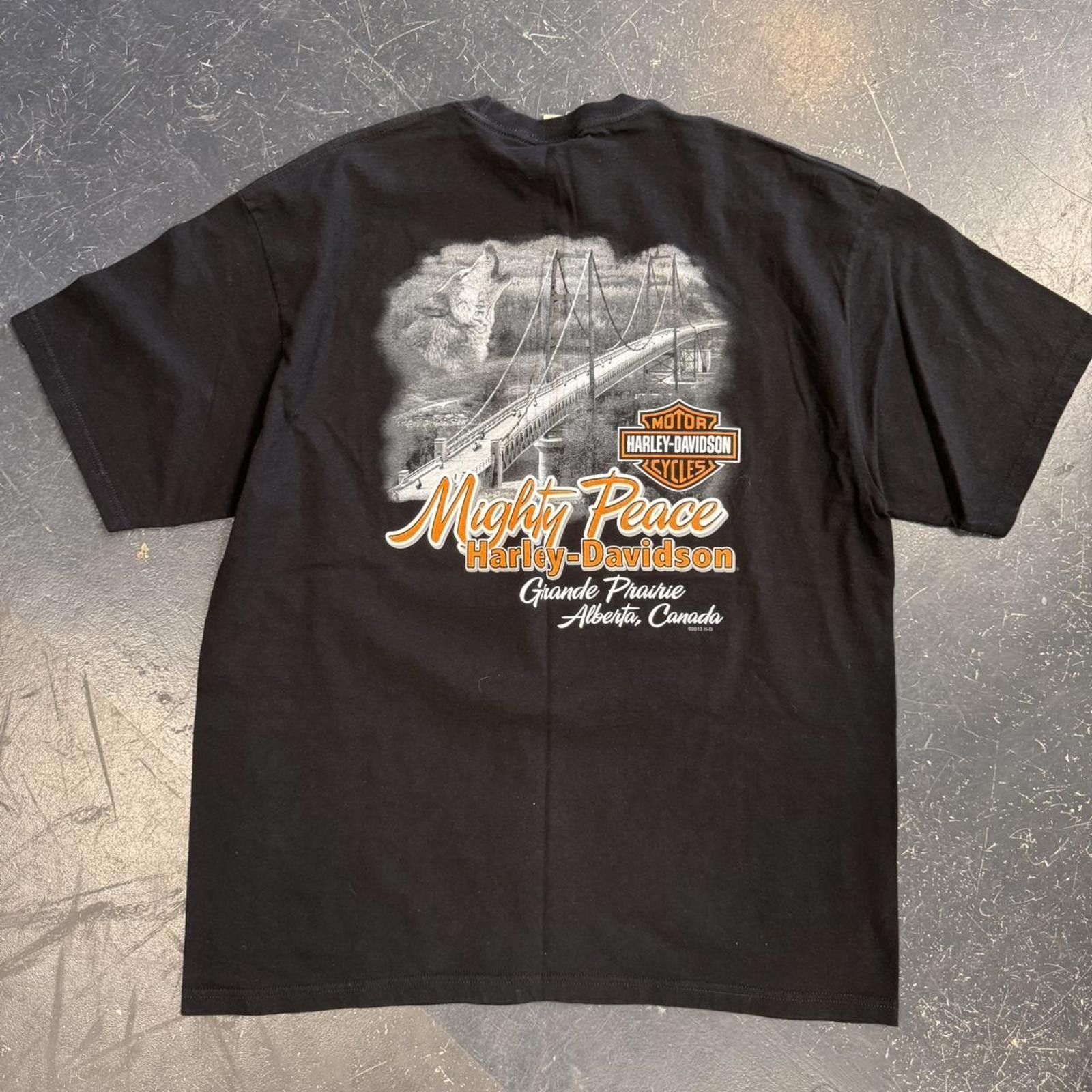 Harley Davidson Harley Davidson Polar Bear Biker Tee Size US XL / EU 56 / 4 - 6 Thumbnail