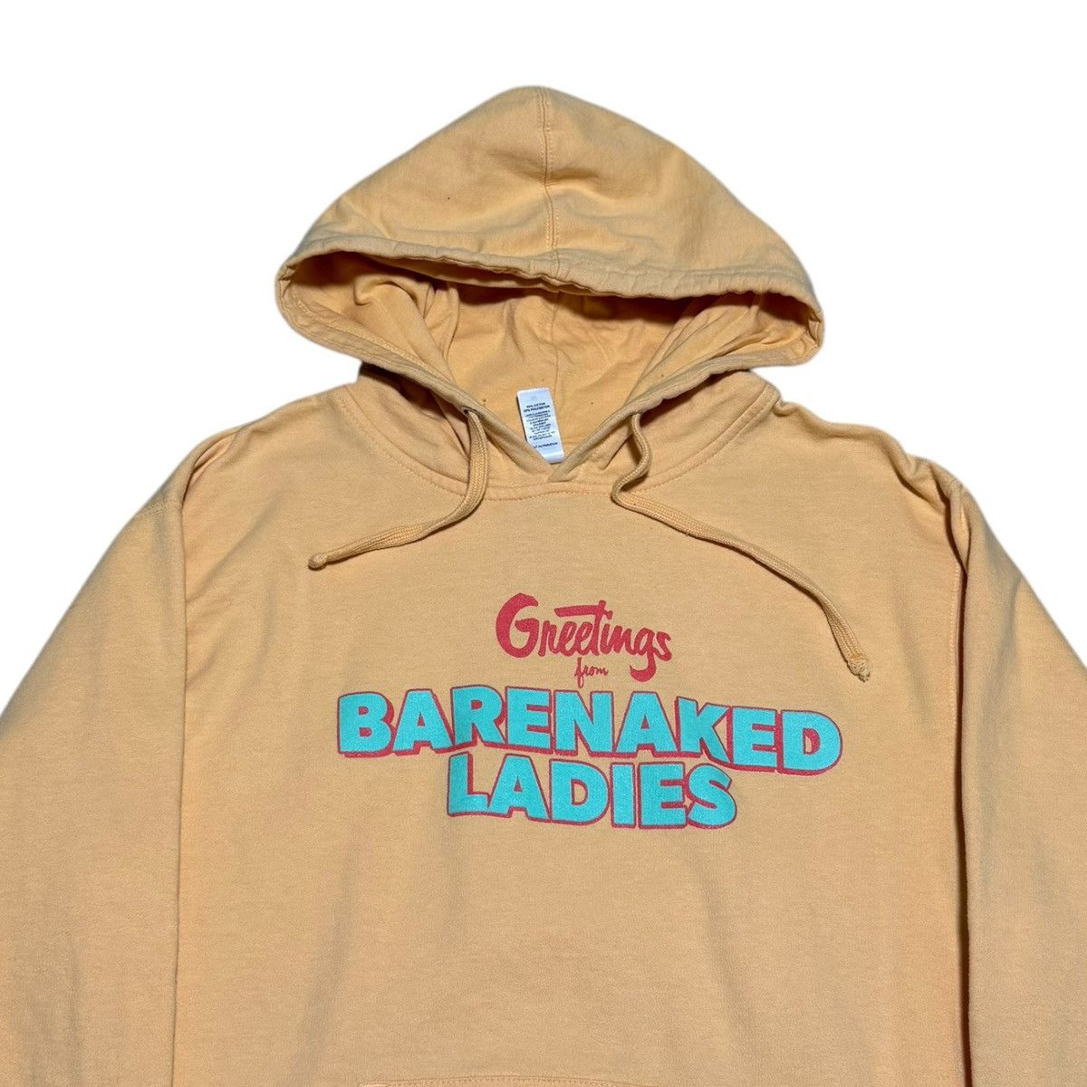 Band Tees × Independent Trading Co. Barenaked Ladies 2023 Last Summer on Earth Tour Hoodie M Size US M / EU 48-50 / 2 - 2 Thumbnail