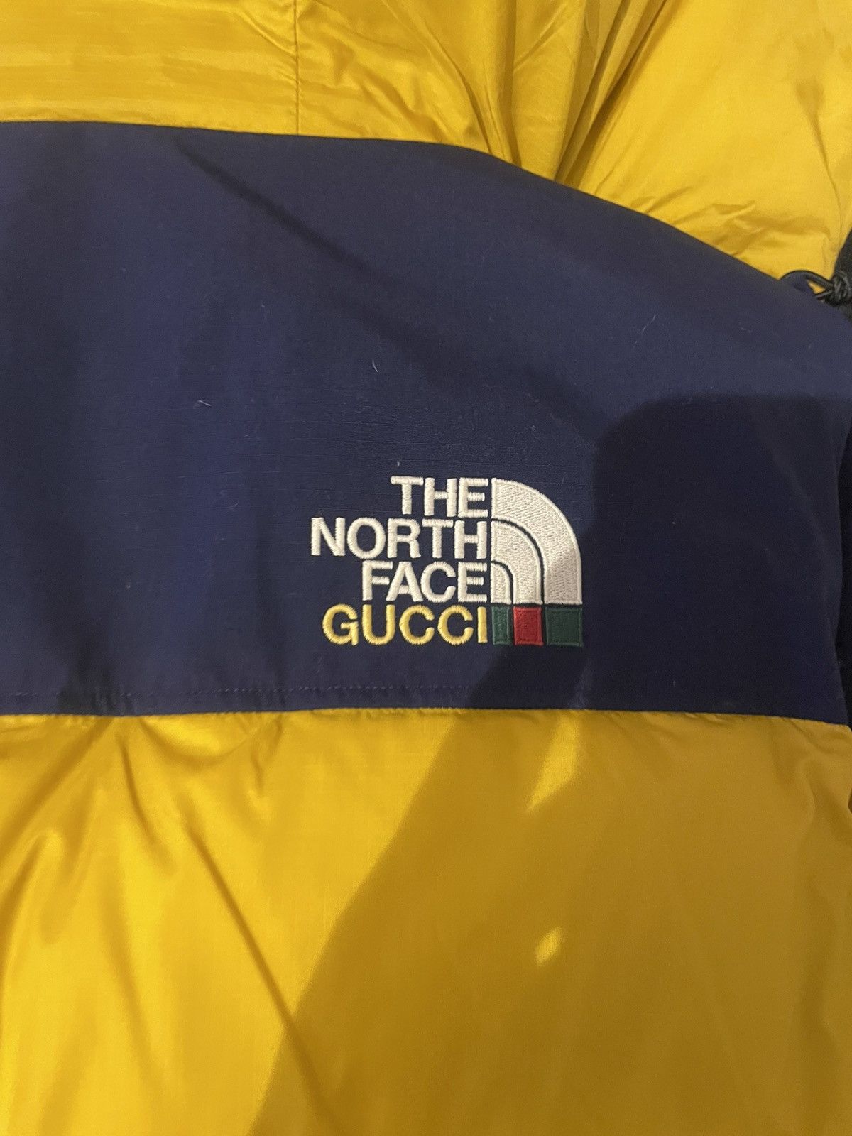 Gucci × The North Face The North Face / Gucci Winter Jacket Size US M / EU 48-50 / 2 - 2 Thumbnail