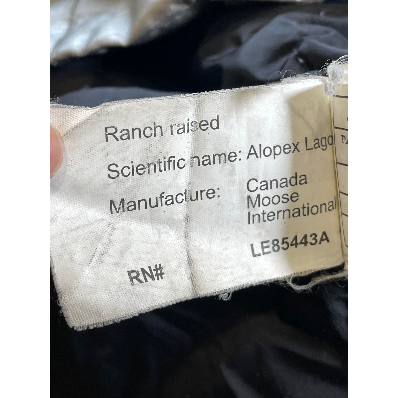 Moose Knuckles Moose Knuckles Silver Parka Jacket Size US M / EU 48-50 / 2 - 6 Thumbnail