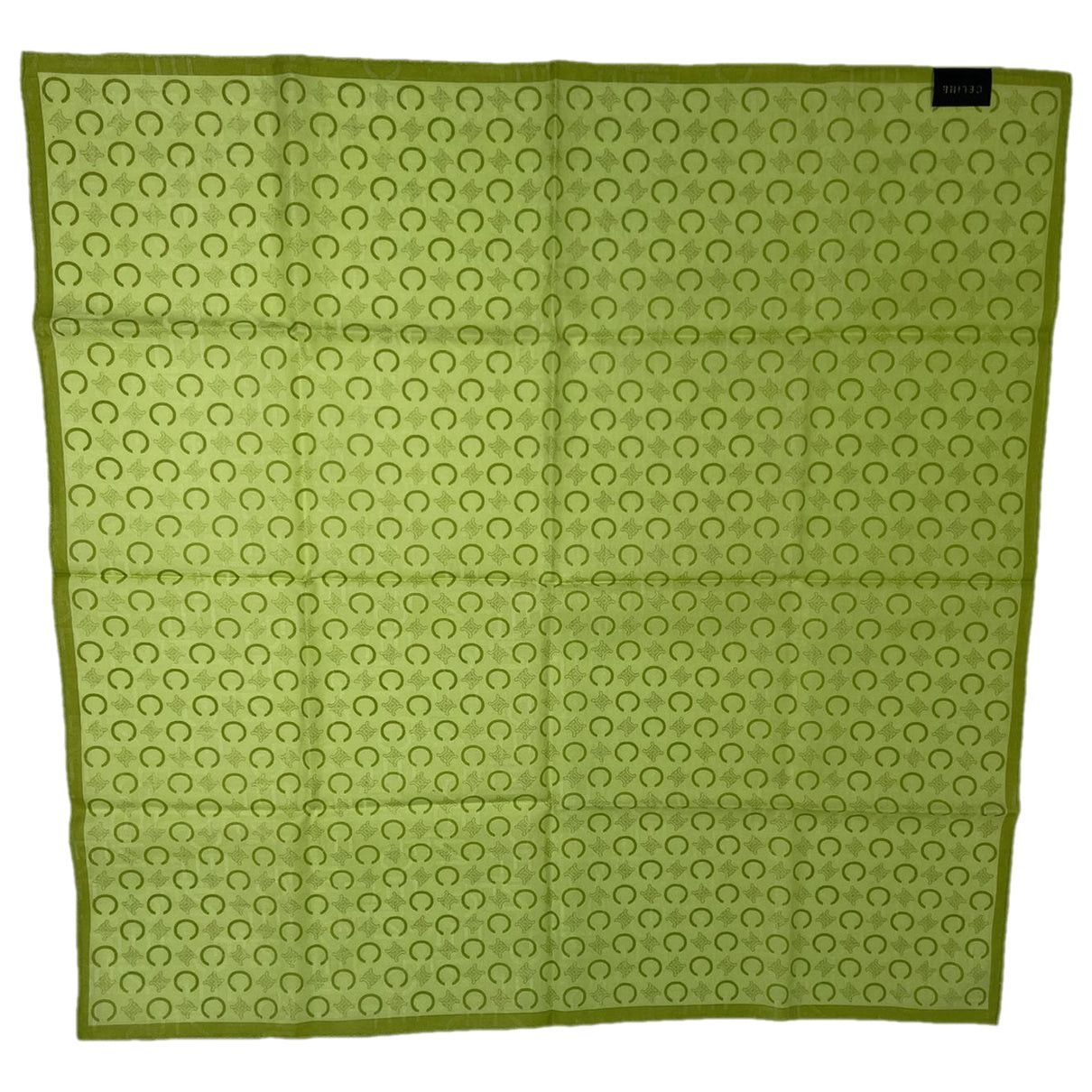 Green Silk Scarf