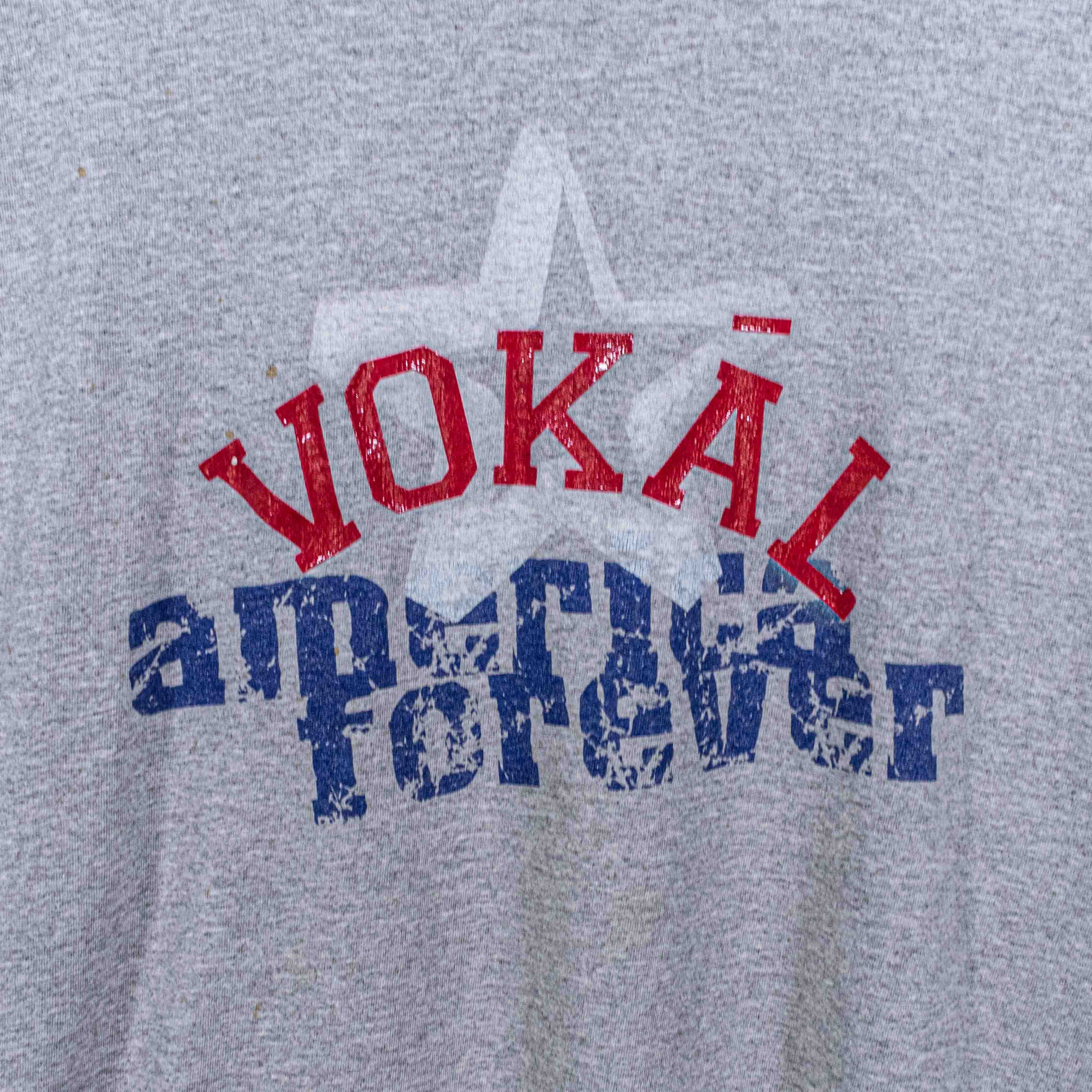 Rap Tees VOKAL America Forever T-Shirt Nelly Hip Hop XXL Y2K Rap Size US XXL / EU 58 / 5 - 4 Thumbnail