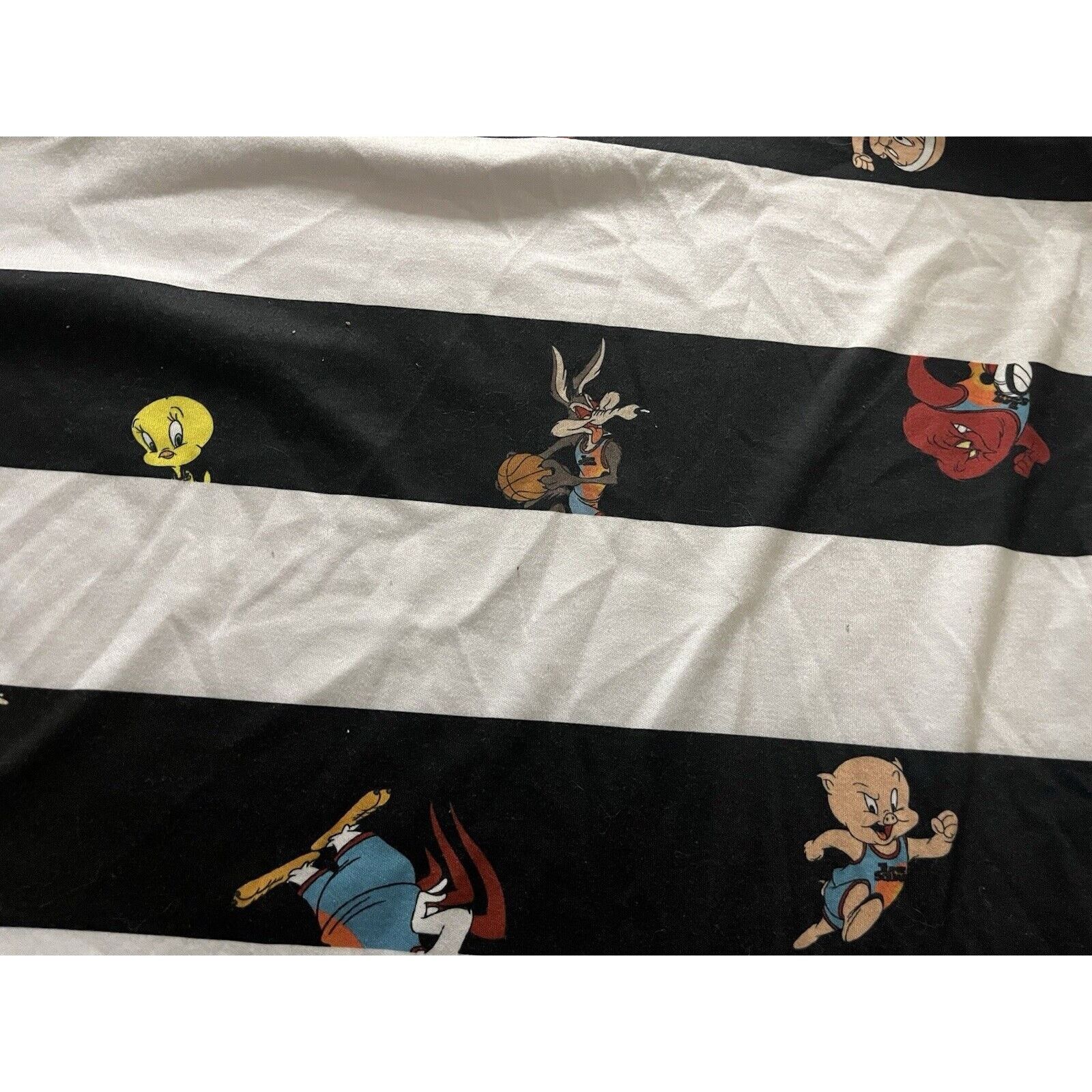 Forever 21 Space Jam a New Legacy Rugby Long Sleeve Men's L Forever 21 Size US L / EU 52-54 / 3 - 12 Thumbnail