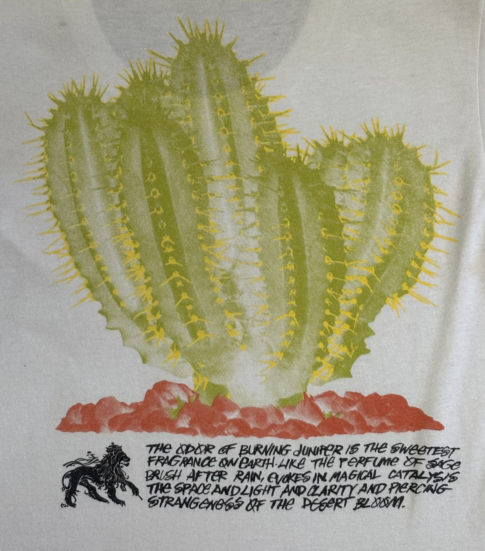 Stussy Stussy Desert Bloom T-shirt Size. XS Size US XS / EU 42 / 0 - 13 Thumbnail