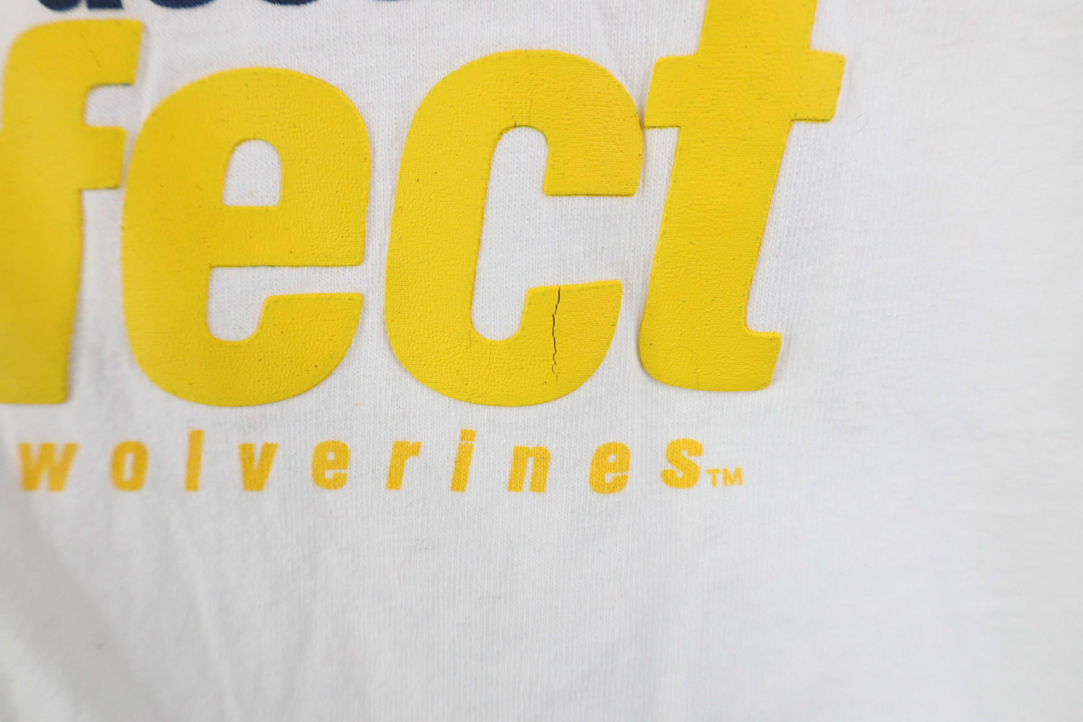 Nike Vintage Nike Swoosh University of Michigan Muscle T-Shirt Size US XL / EU 56 / 4 - 10 Thumbnail