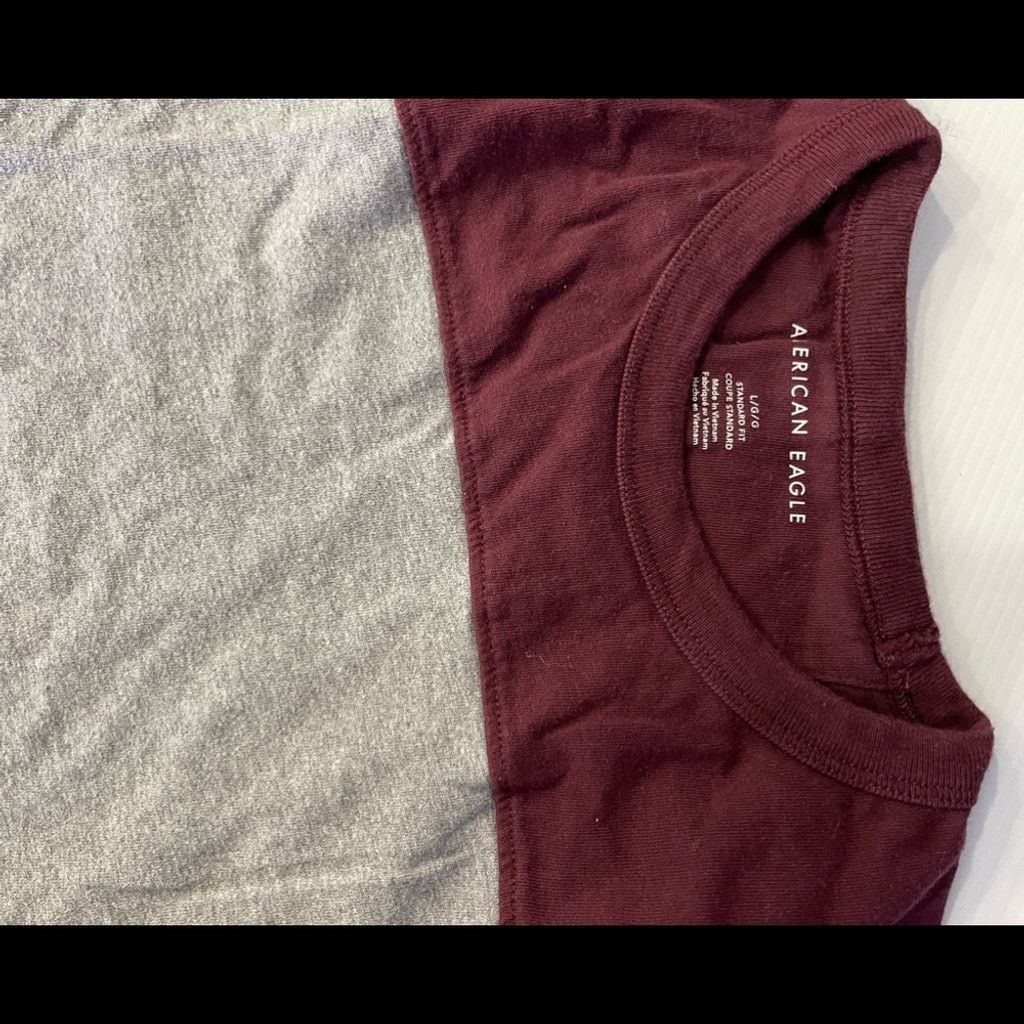 American Eagle Outfitters American Eagle Men’s Gray & Burgundy T-shirt Size L Size US L / EU 52-54 / 3 - 3 Thumbnail