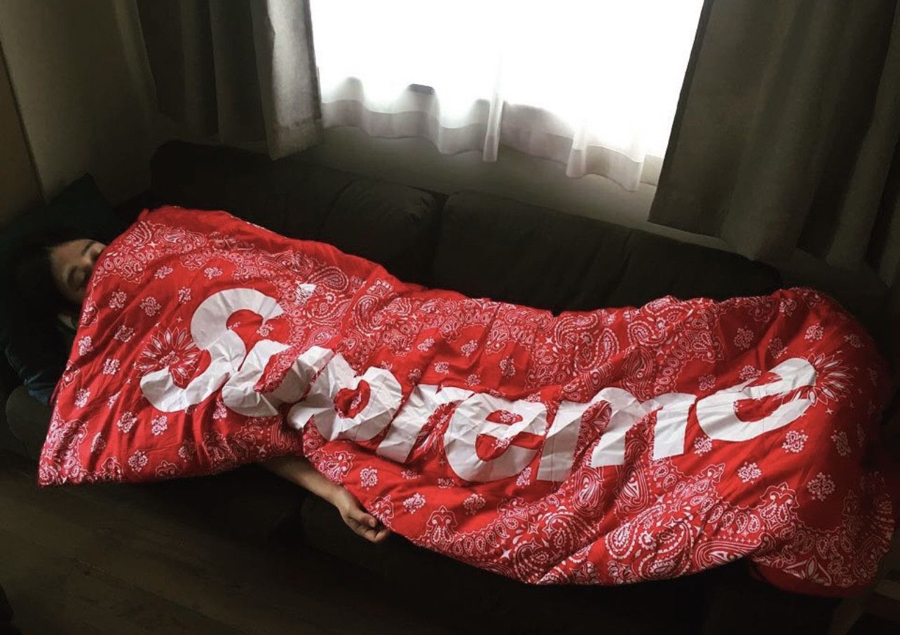 Supreme Supreme The North Face Bandana Dolomite Sleeping Bag | Grailed