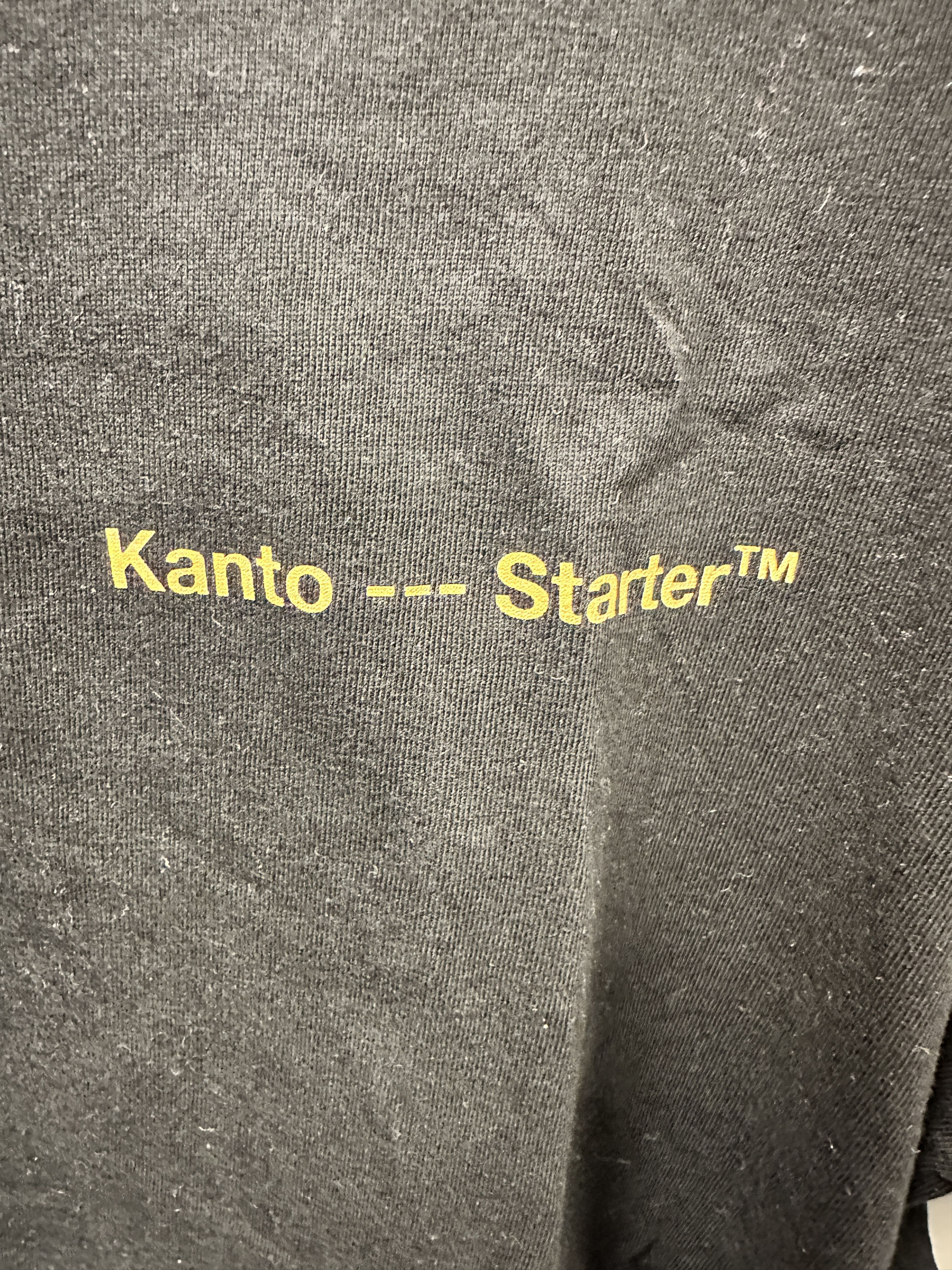 Kanto Starter Kanto Starter Pokemon Charizard Tee Large Size US L / EU 52-54 / 3 - 4 Thumbnail