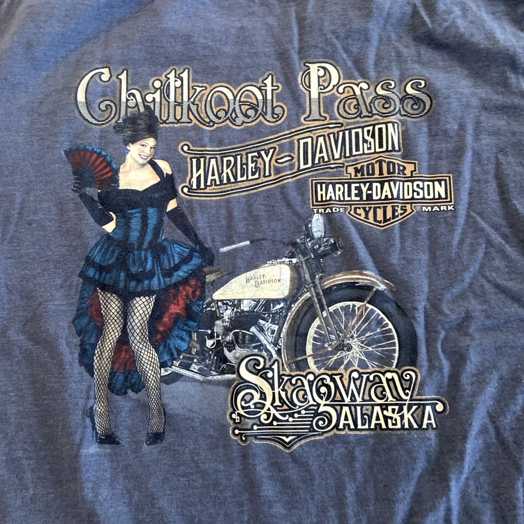 Harley Davidson VINTAGE Harley-Davidson Chilkoot Pass Skagway Alaska Shirt XL Gray Men Crew Neck Short Sleeve Cotton T-Shirt Biker Motorcycle 2012 Outpost Size US XL / EU 56 / 4 - 7 Thumbnail