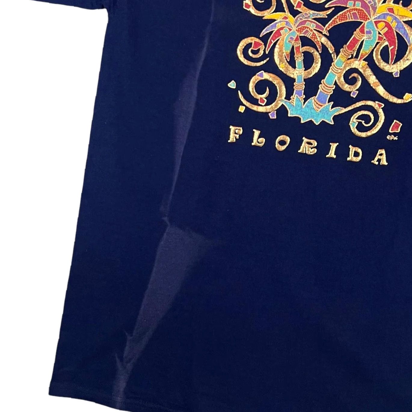 Gildan Gildan T-Shirt Navy Blue Florida Souvenir embossed graphic front Large Mens 21" Pit to Pit 31" Length 9" Shoulder to Cuff 11052 Size US L / EU 52-54 / 3 - 4 Thumbnail