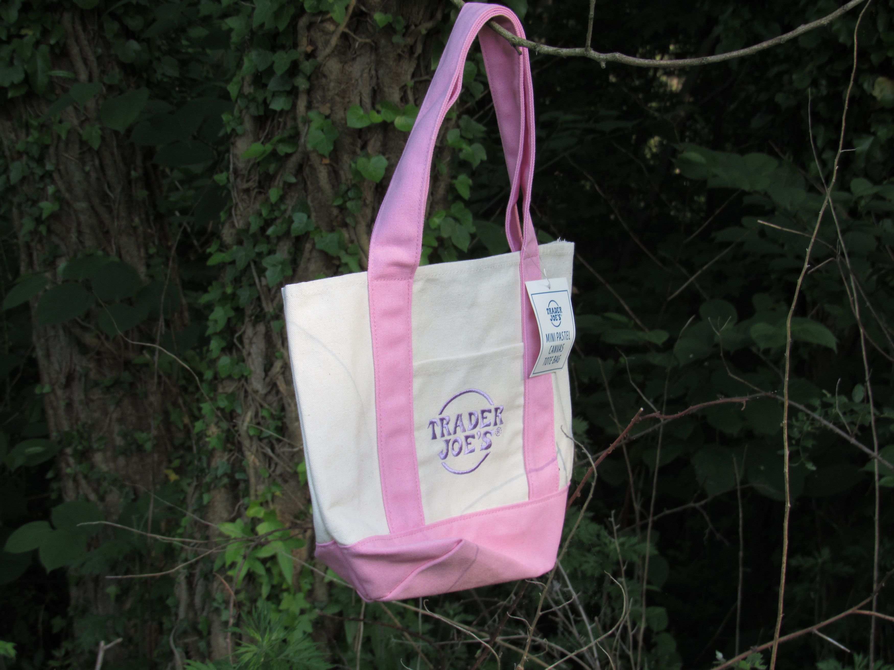 Other Trader Joe's Mini Tote bags Size ONE SIZE - 1 Thumbnail