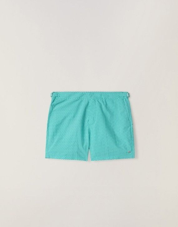 Loro Piana o1srvl11e1024 Kito Swim Trunk in Mint Blue Size US 30 / EU 46 - 1 Thumbnail